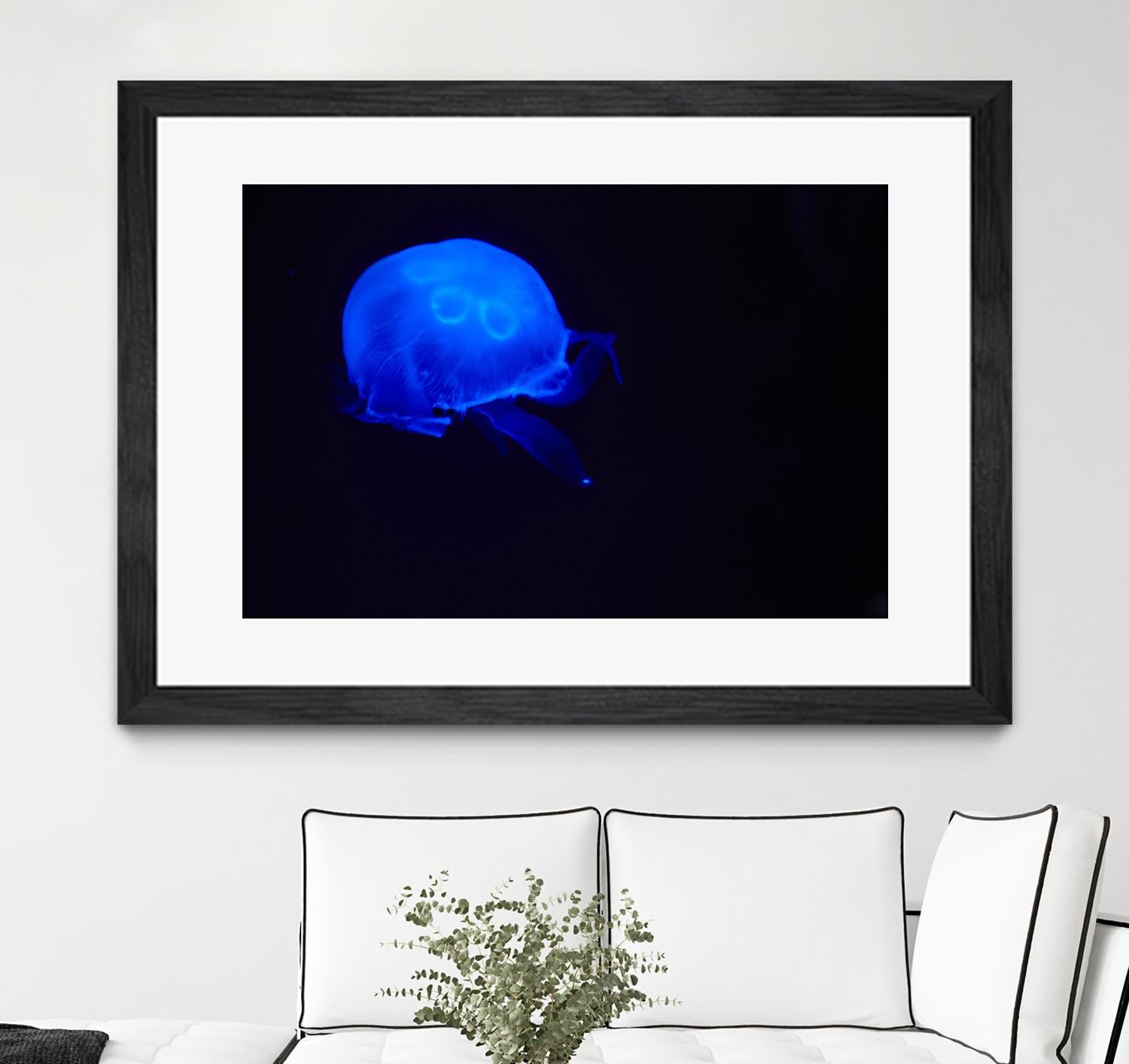 Blue and black III by Peter Morneau on GIANT ART - black photo art