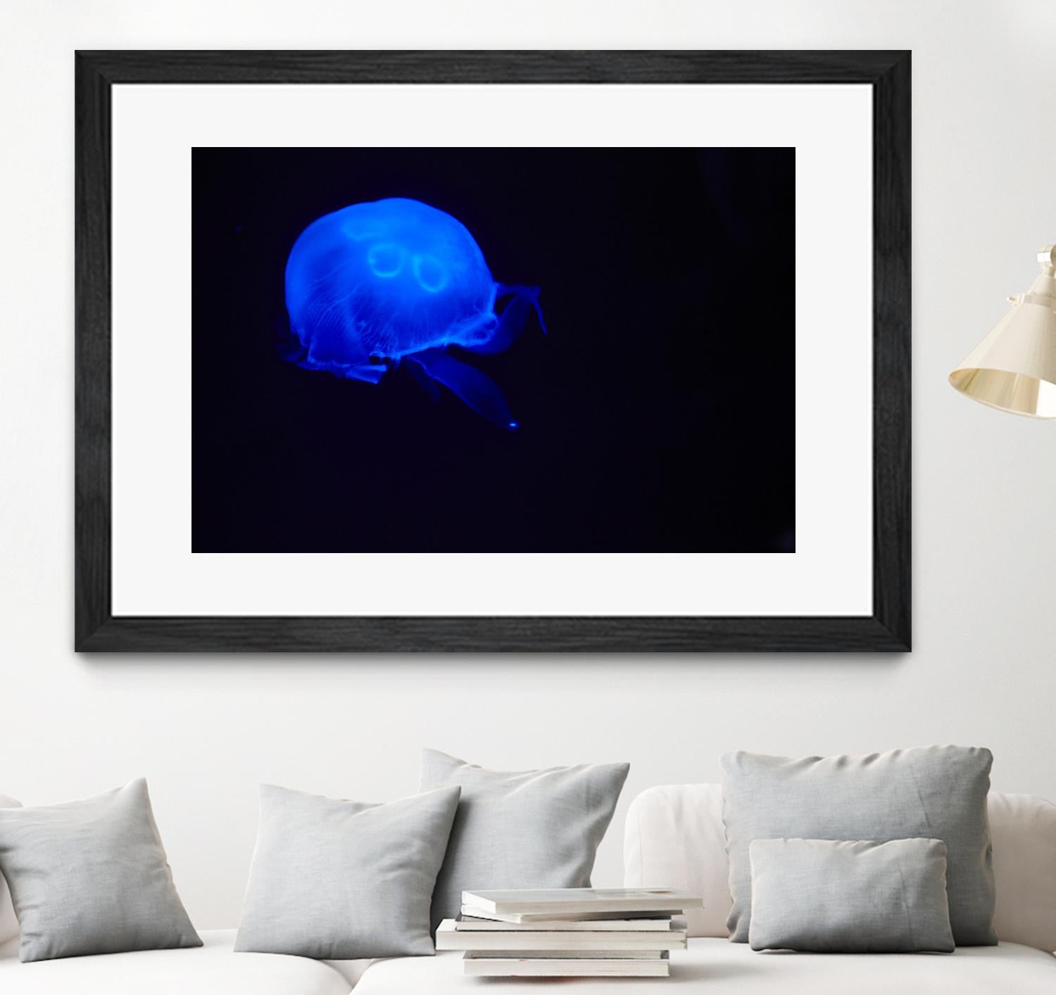 Blue and black III by Peter Morneau on GIANT ART - black photo art