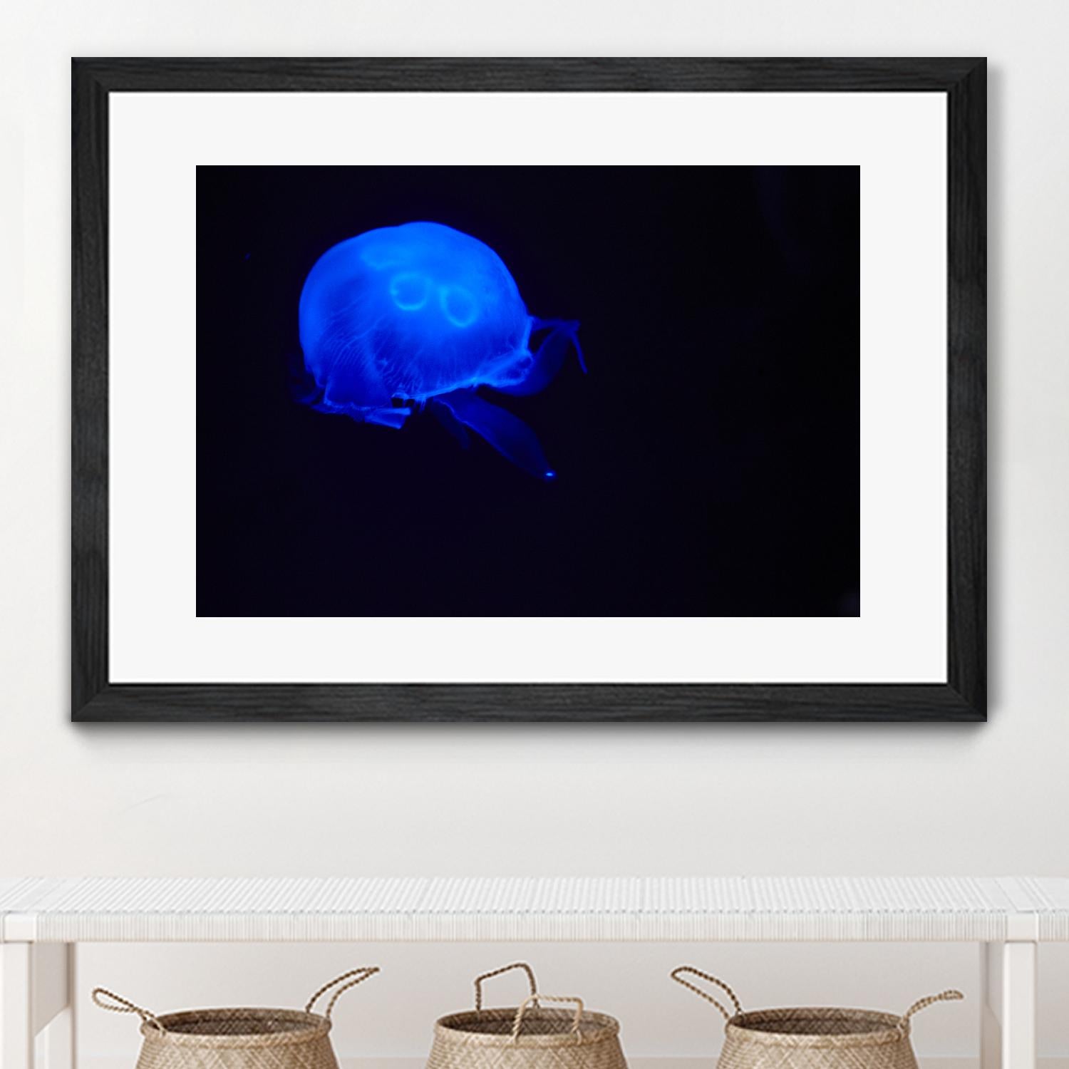 Blue and black III by Peter Morneau on GIANT ART - black photo art