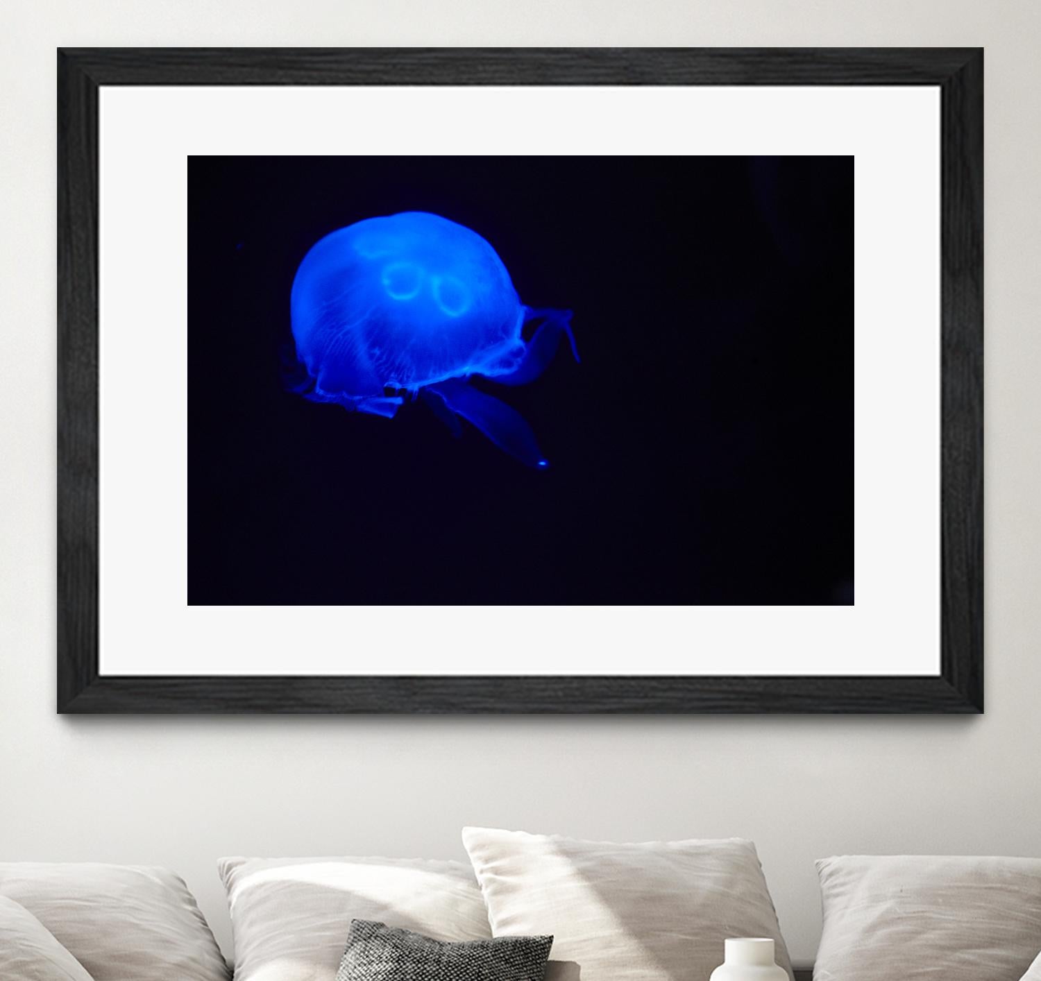 Blue and black III by Peter Morneau on GIANT ART - black photo art