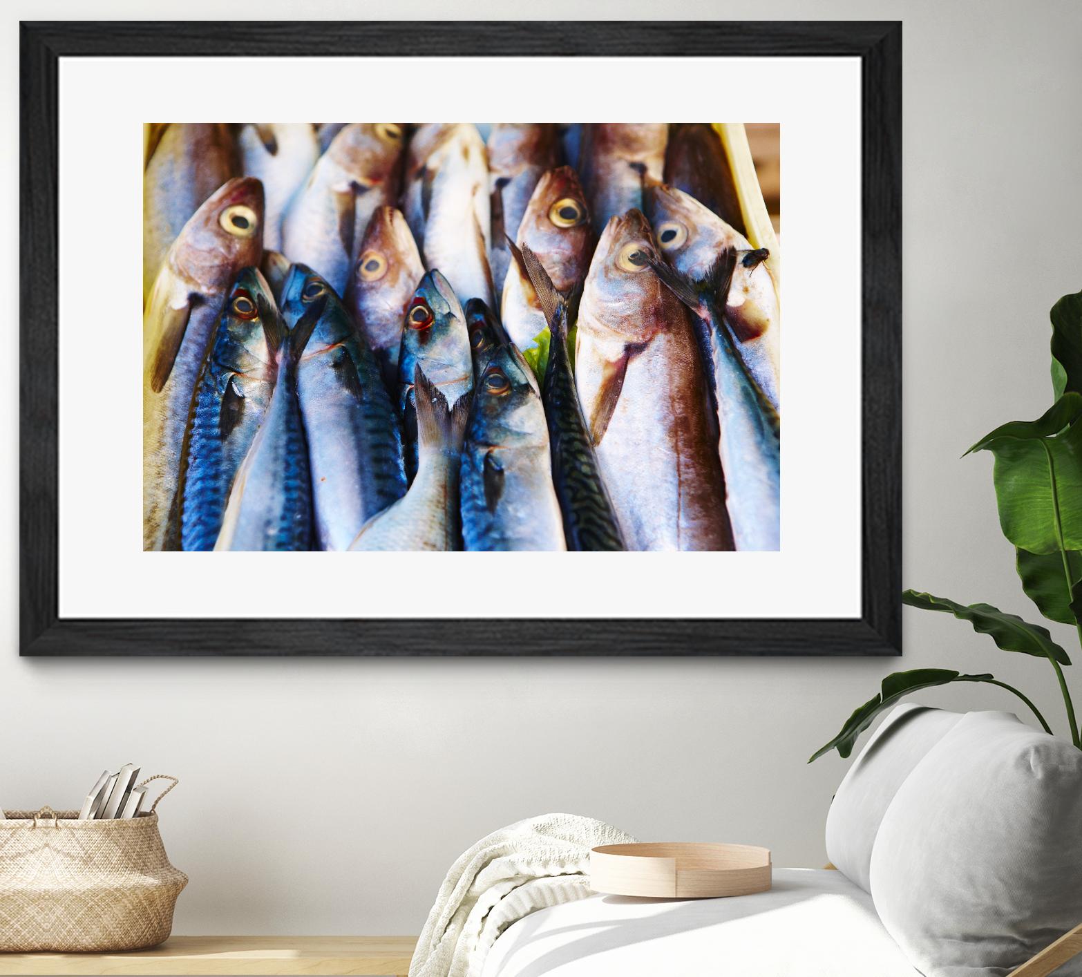 Fish V by Peter Morneau on GIANT ART - blue photography artistes du québec