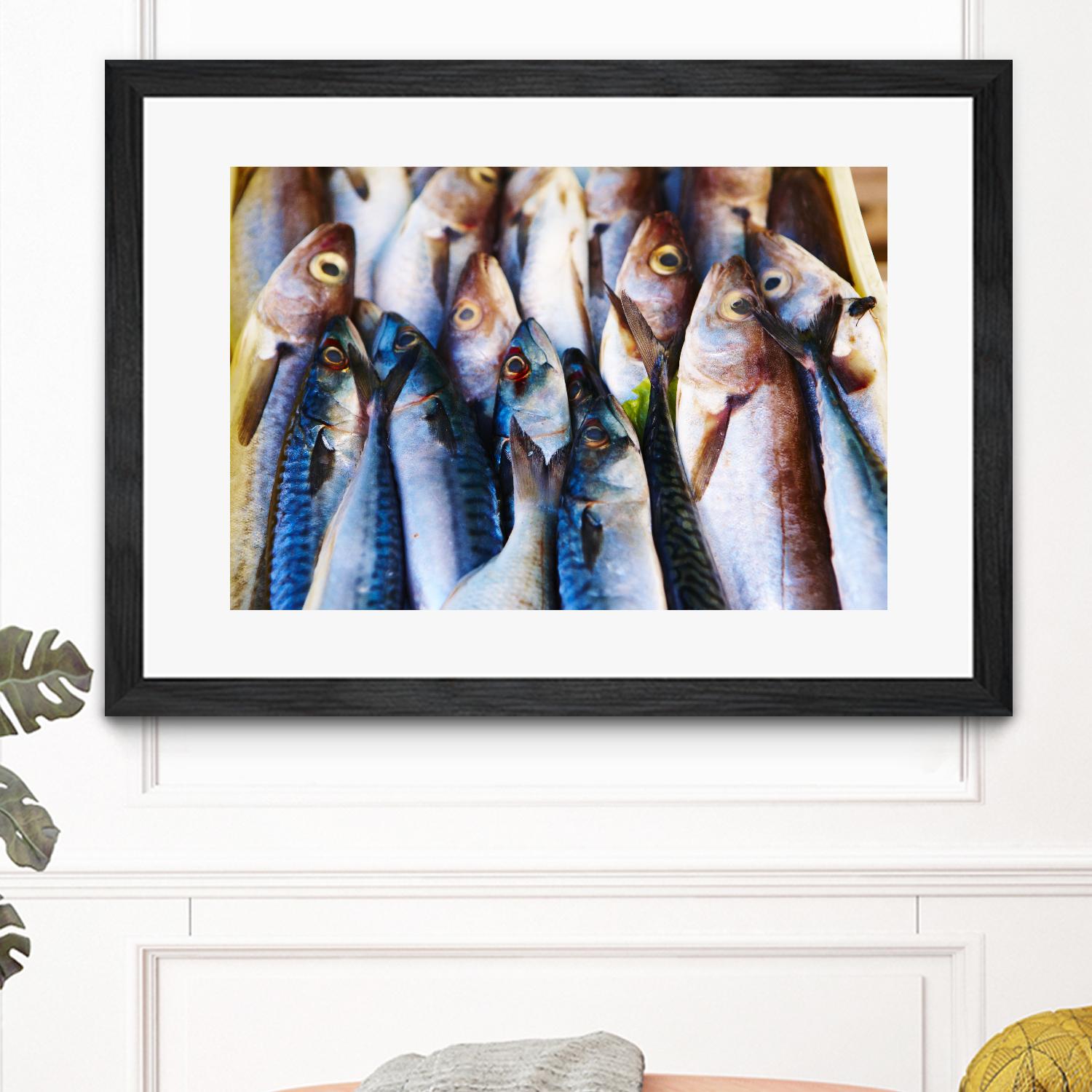 Fish V by Peter Morneau on GIANT ART - blue photography artistes du québec