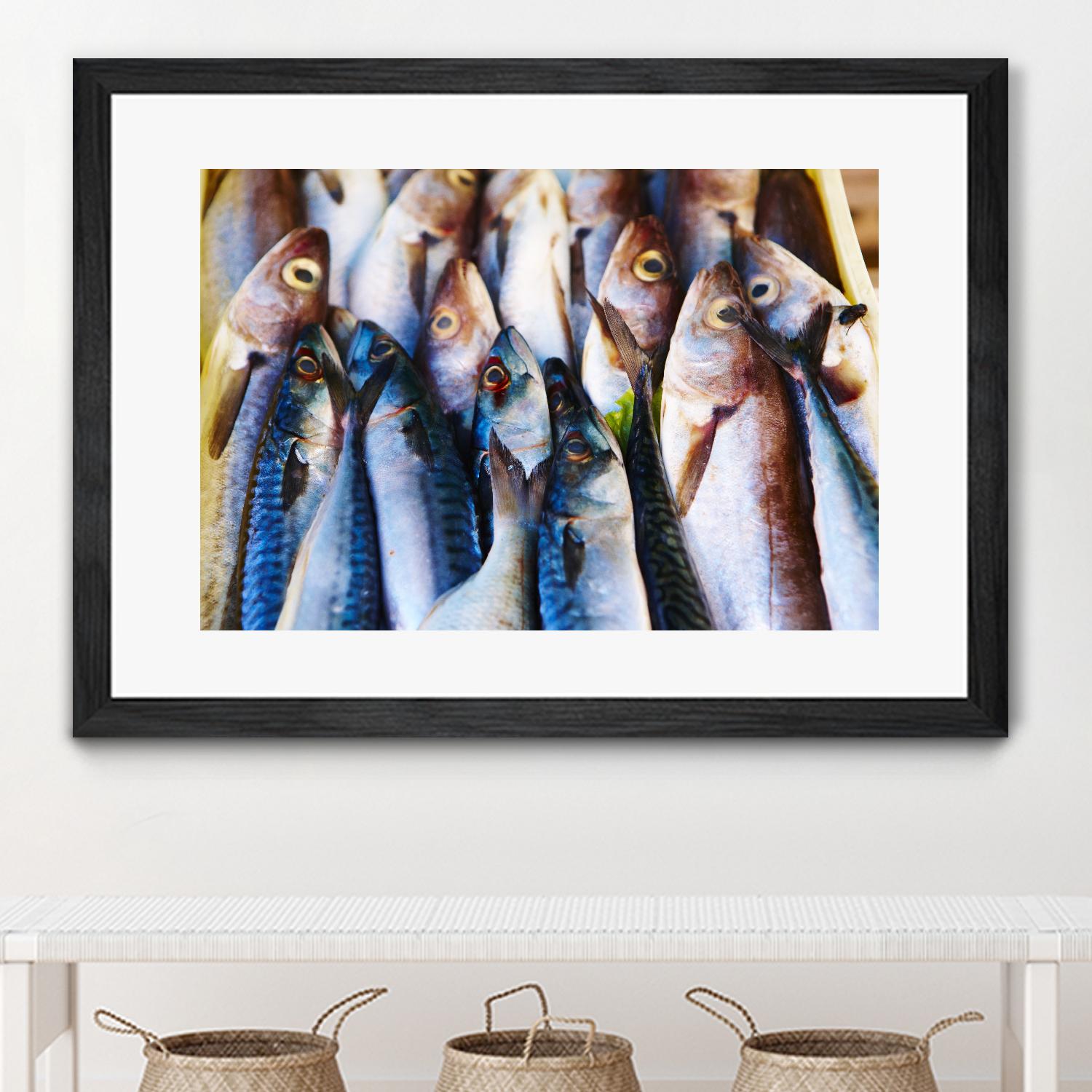 Fish V by Peter Morneau on GIANT ART - blue photography artistes du québec