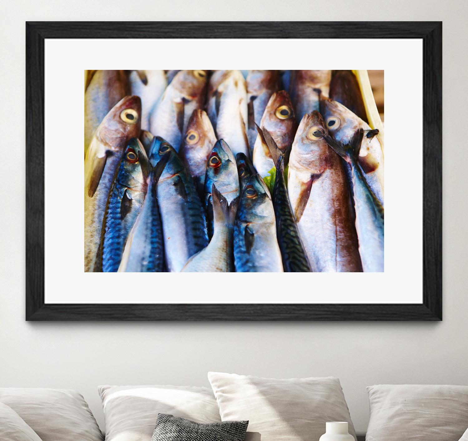 Fish V by Peter Morneau on GIANT ART - blue photography artistes du québec