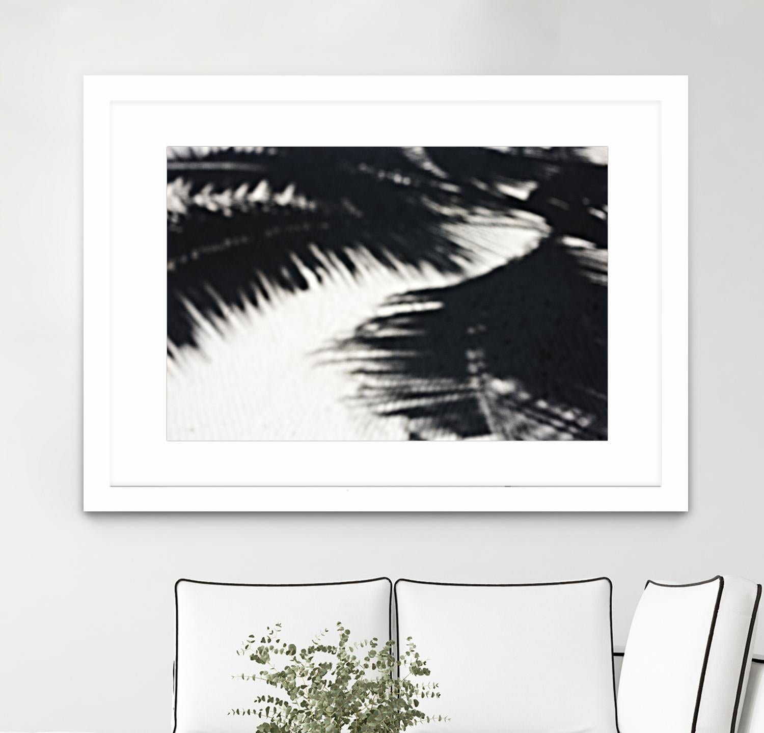 Under the shade by Peter Morneau on GIANT ART - white photo art