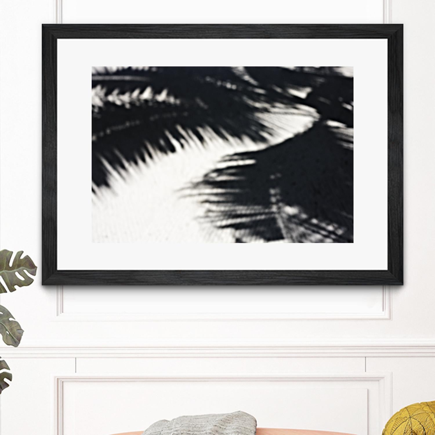 Under the shade by Peter Morneau on GIANT ART - white photo art