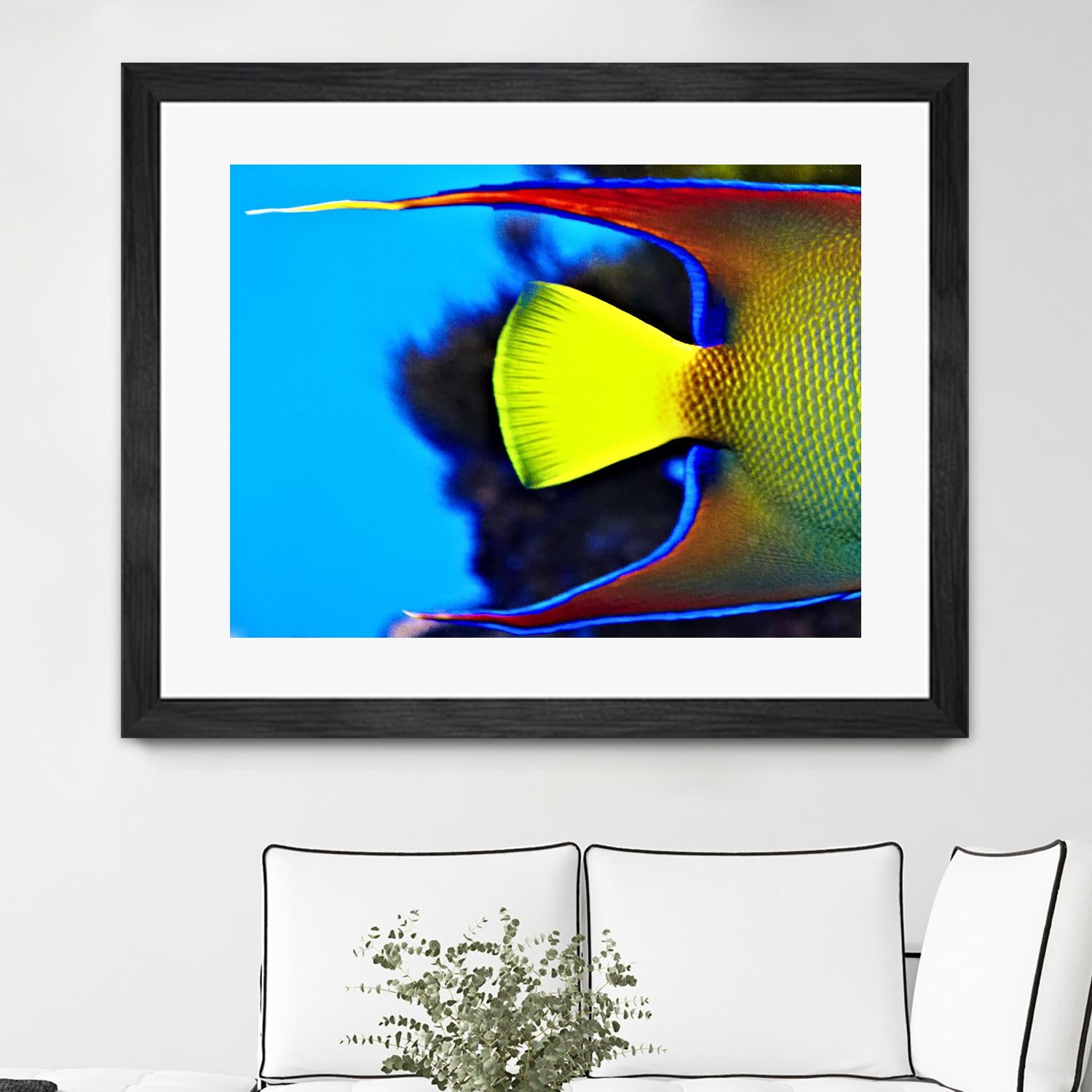 Yellow Fish by Peter Morneau on GIANT ART - yellow photo art