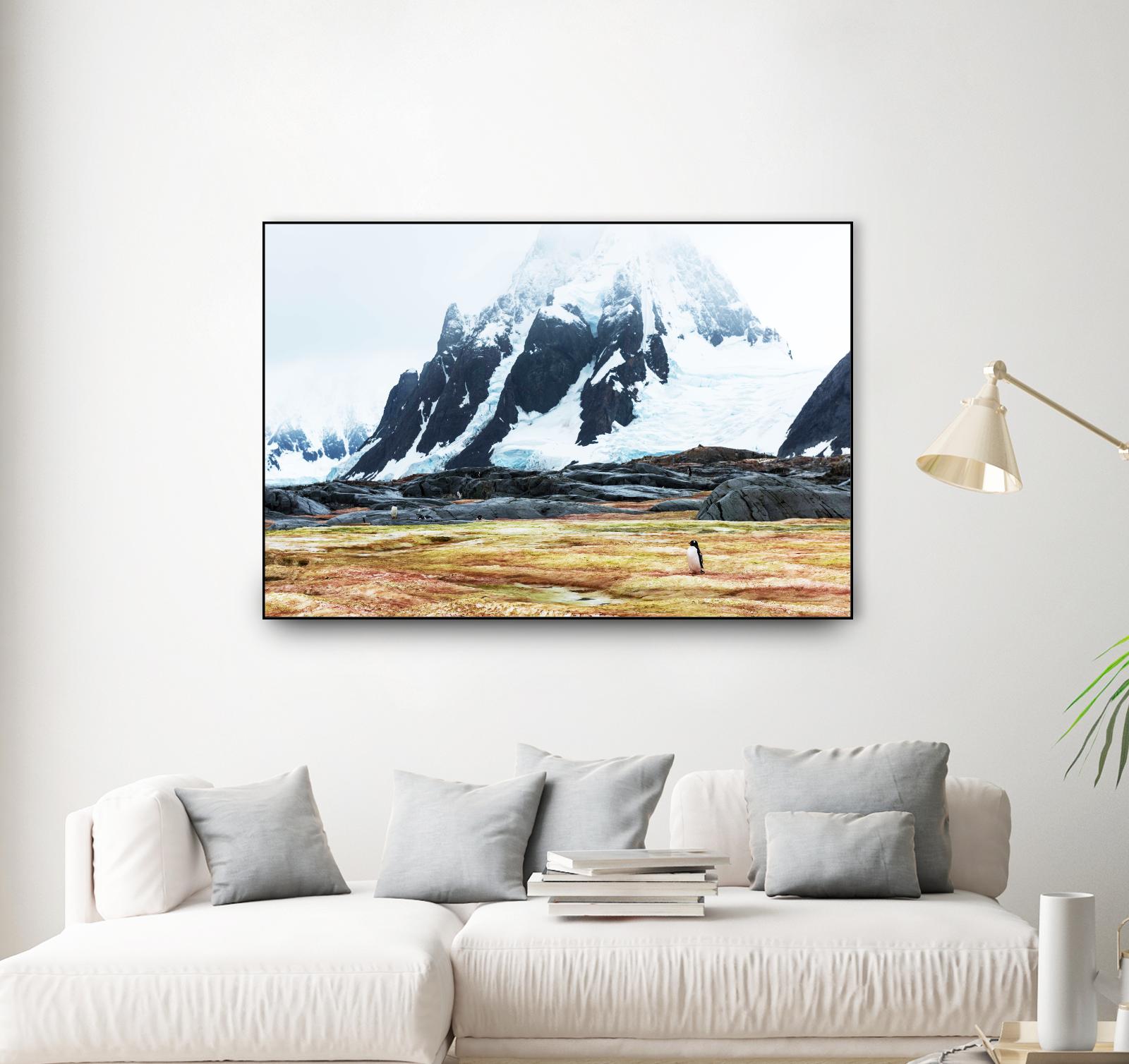 Crossing the green algae field, Antarctica by Nick Jackson on GIANT ART - white photo art