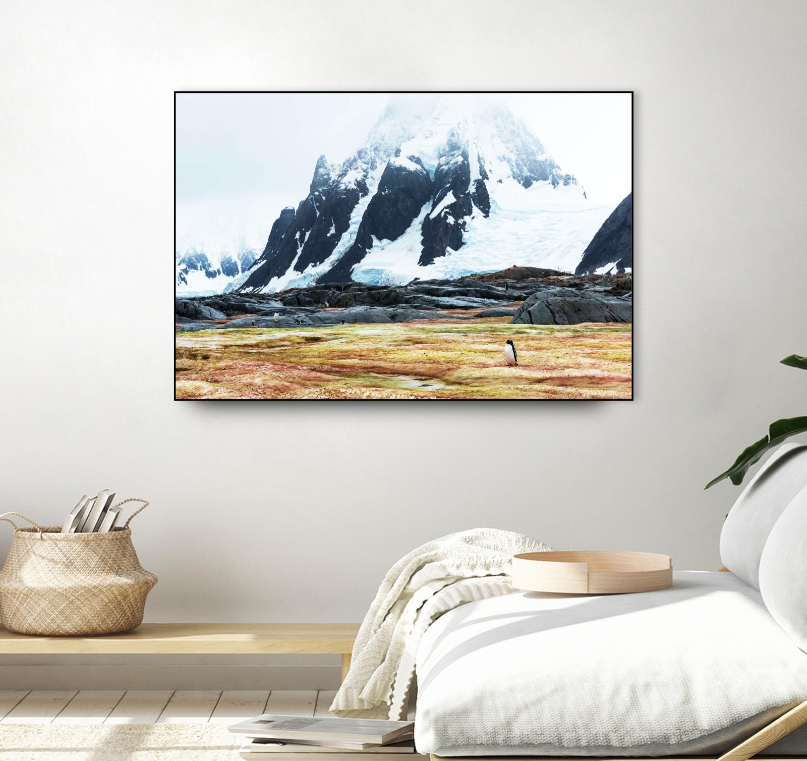 Crossing the green algae field, Antarctica by Nick Jackson on GIANT ART - white photo art