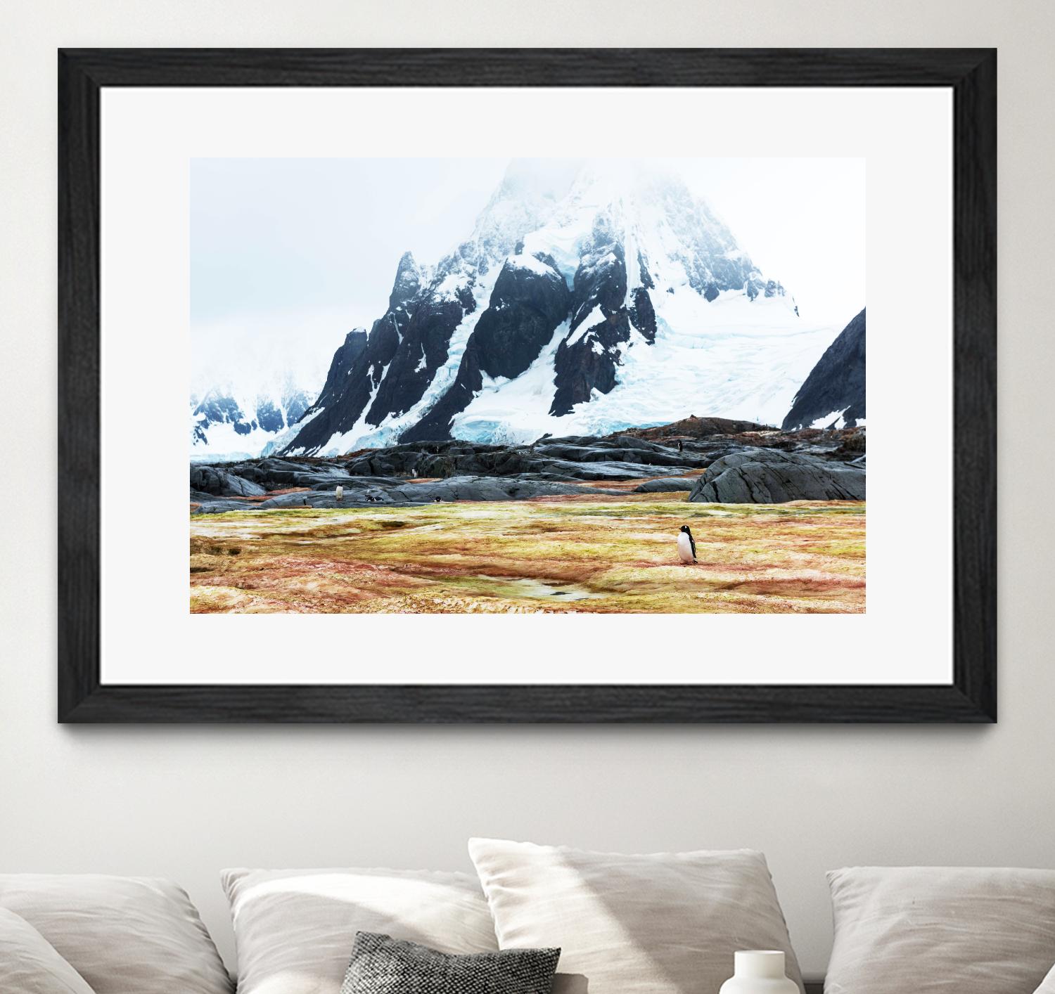 Crossing the green algae field, Antarctica by Nick Jackson on GIANT ART - white photo art
