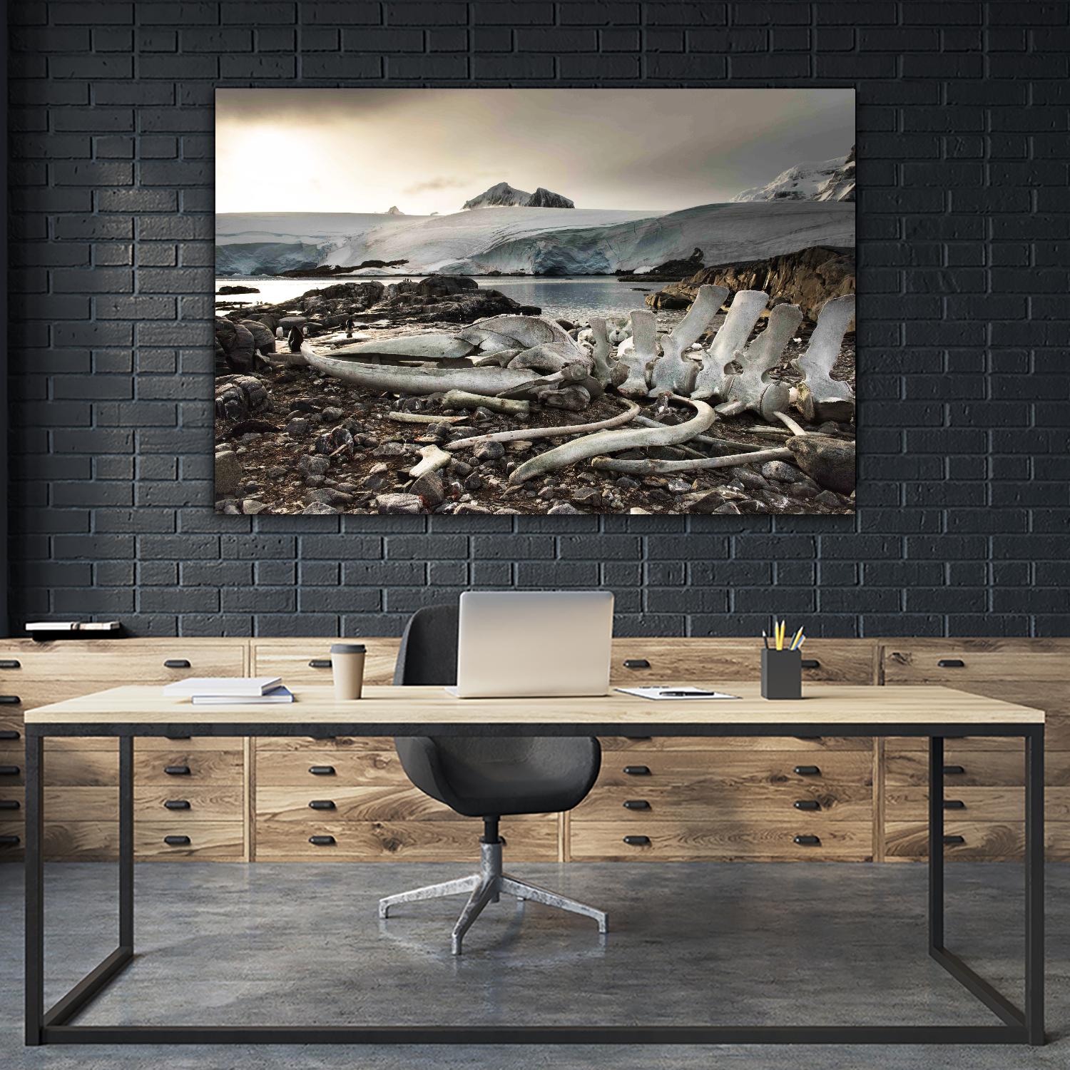 Whale skeleton at Jougla point, Antarctica by Nick Jackson on GIANT ART - grey photo art