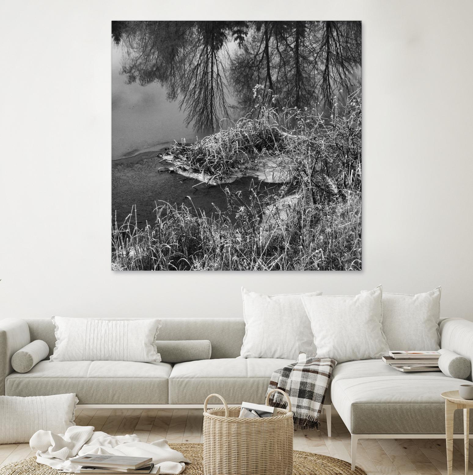 First Frost II by Jean-François Dupuis on GIANT ART - white black & white reflection