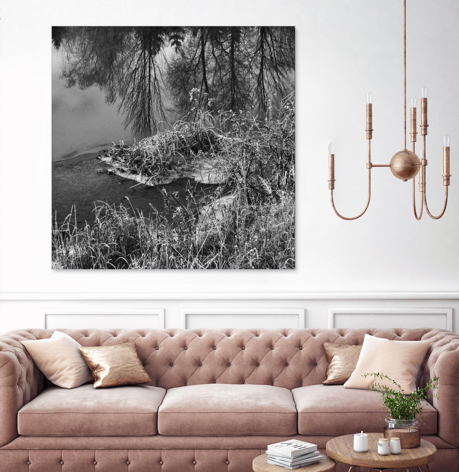 First Frost II by Jean-François Dupuis on GIANT ART - white black & white reflection