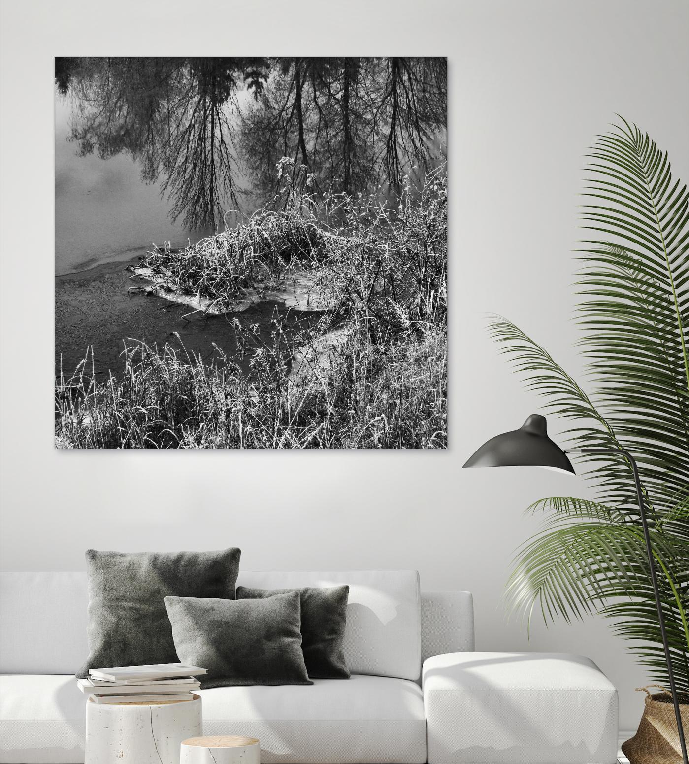 First Frost II by Jean-François Dupuis on GIANT ART - white black & white reflection