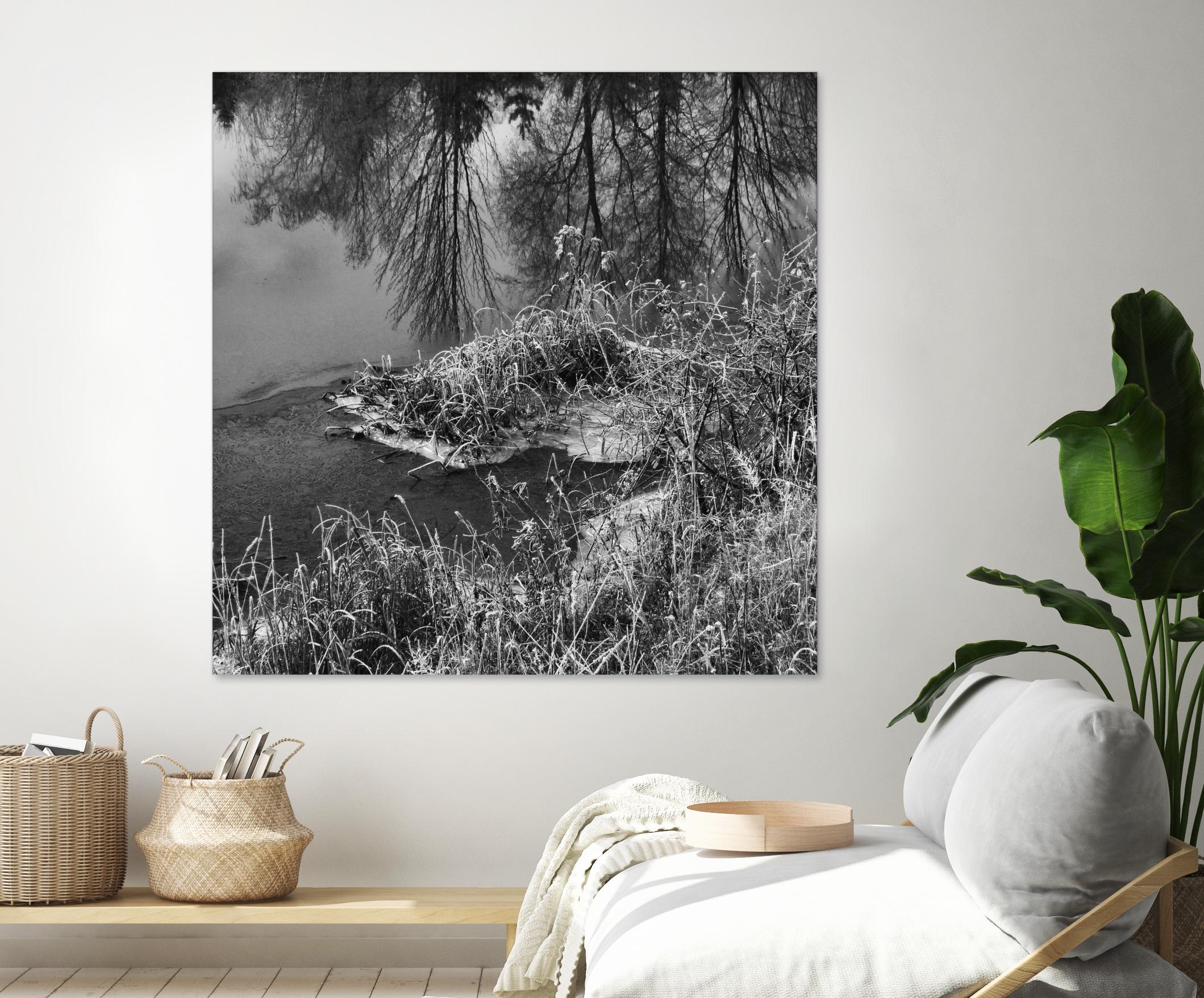 First Frost II by Jean-François Dupuis on GIANT ART - white black & white reflection