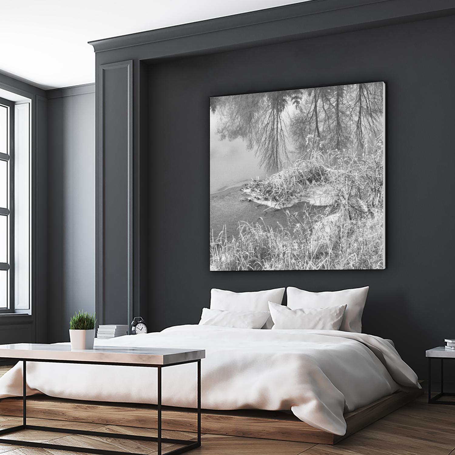 First Frost II by Jean-François Dupuis on GIANT ART - white black & white reflection