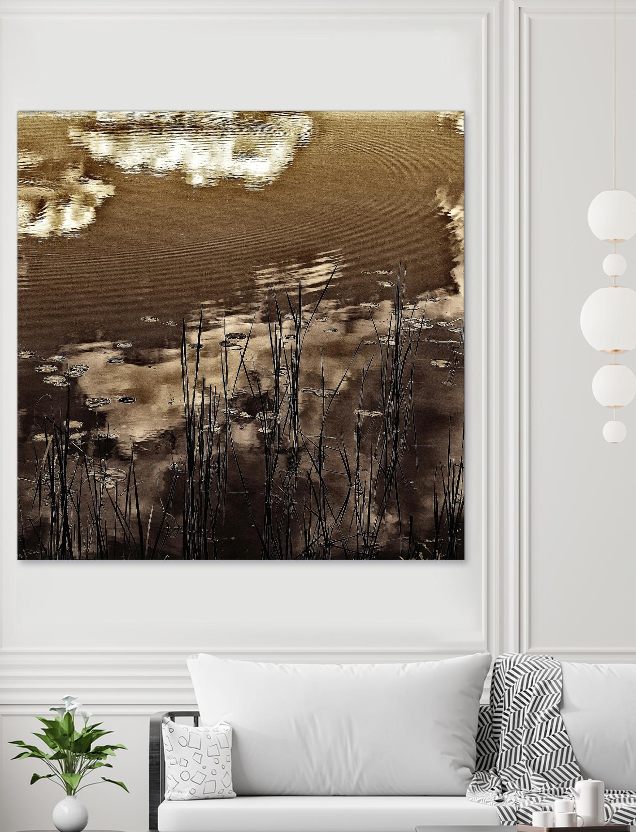 Infrared pond 11 by Jean-François Dupuis on GIANT ART - black botany marécage