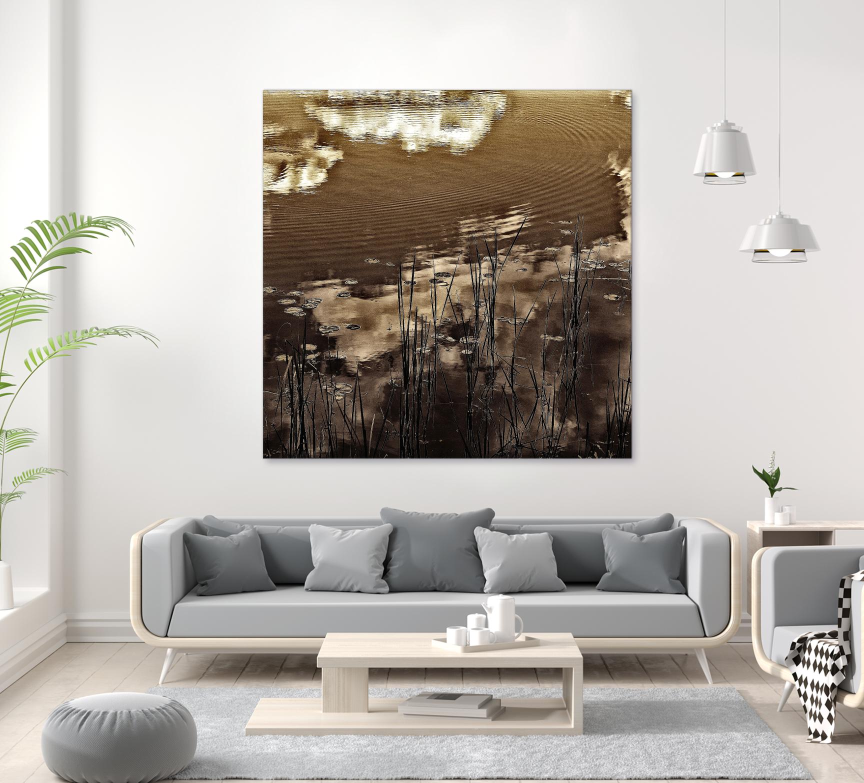 Infrared pond 11 by Jean-François Dupuis on GIANT ART - black botany marécage