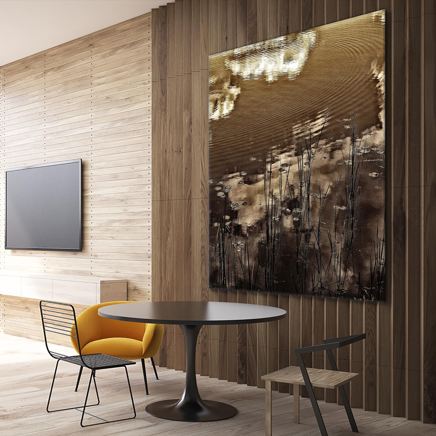 Infrared pond 11 by Jean-François Dupuis on GIANT ART - black botany marécage