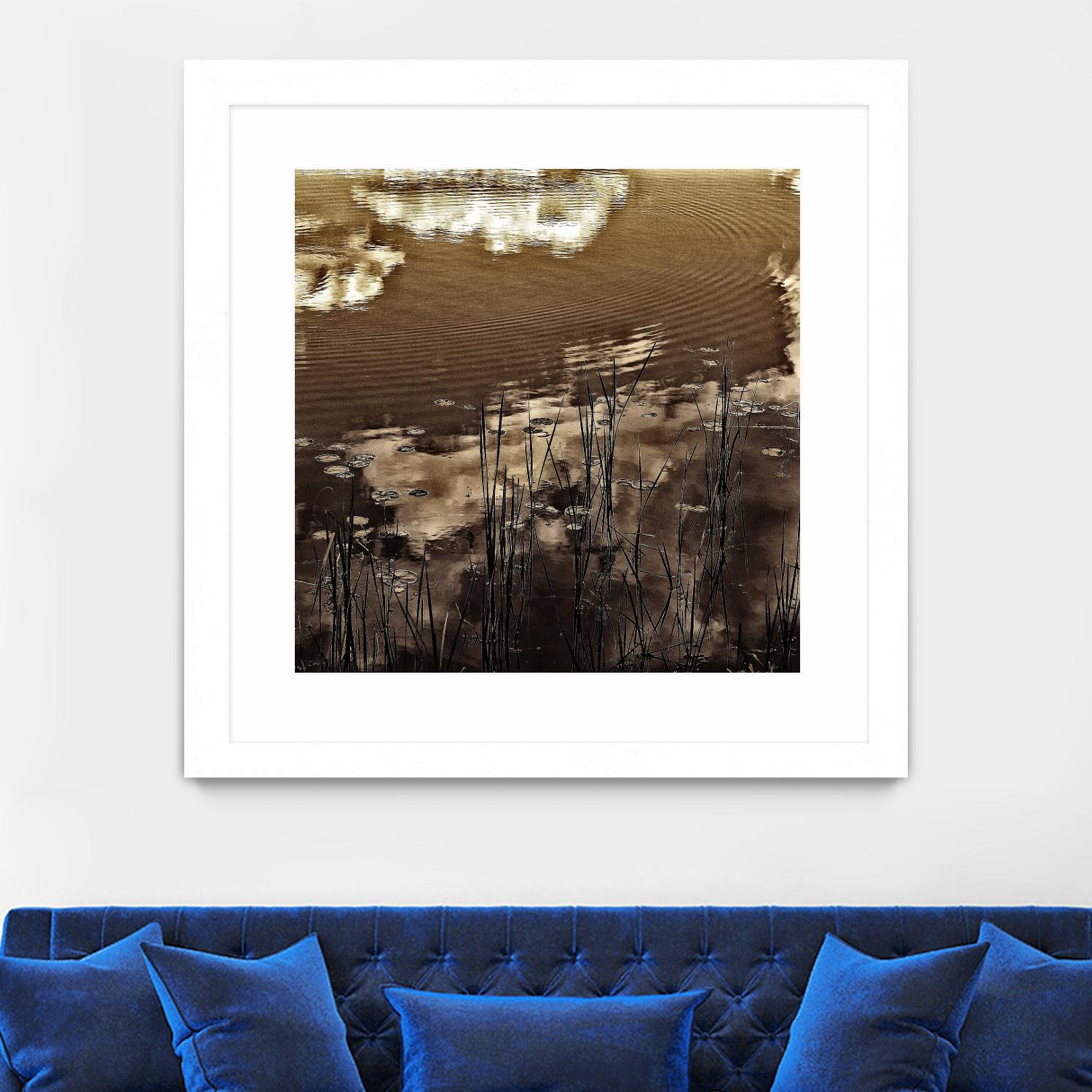 Infrared pond 11 by Jean-François Dupuis on GIANT ART - black botany marécage