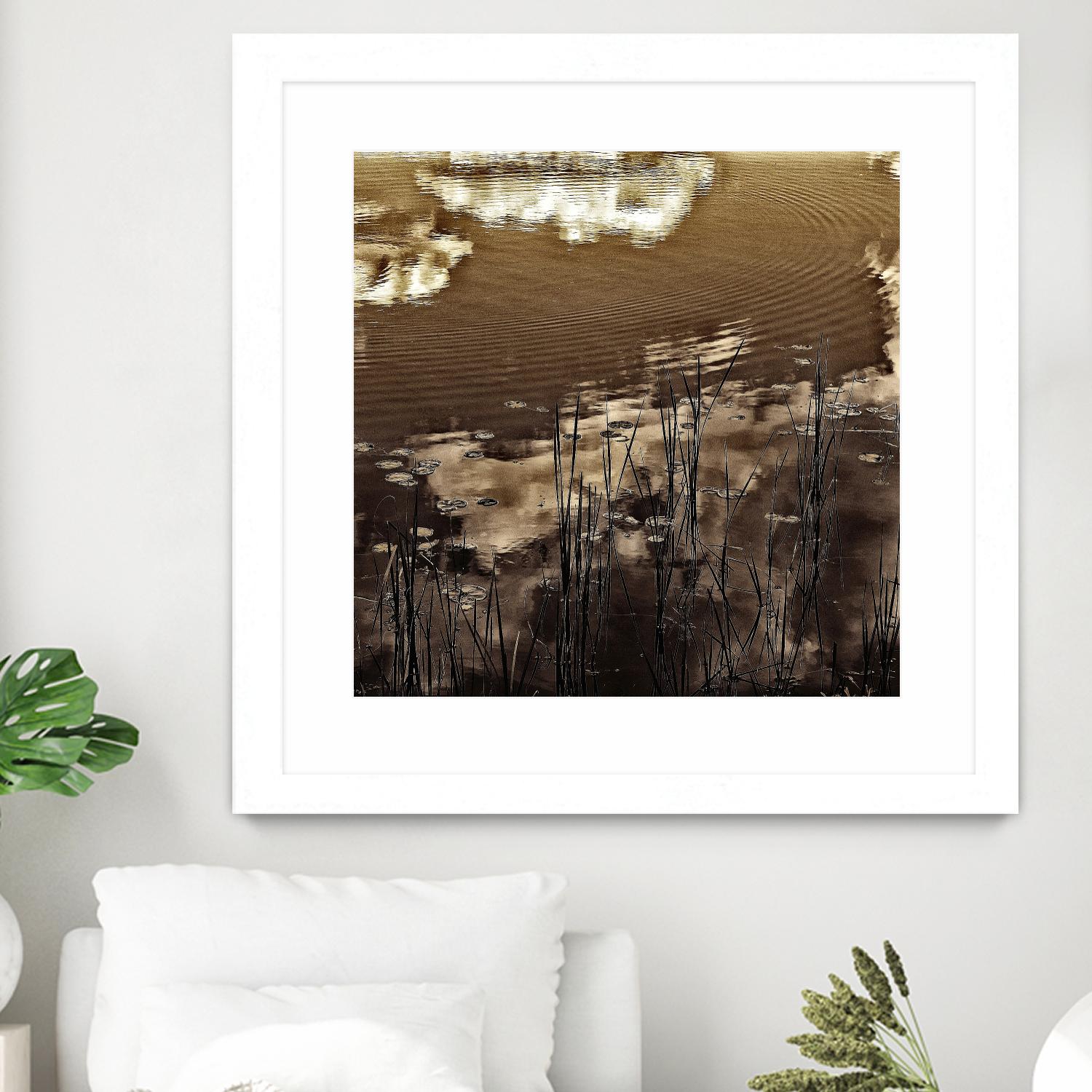 Infrared pond 11 by Jean-François Dupuis on GIANT ART - black botany marécage