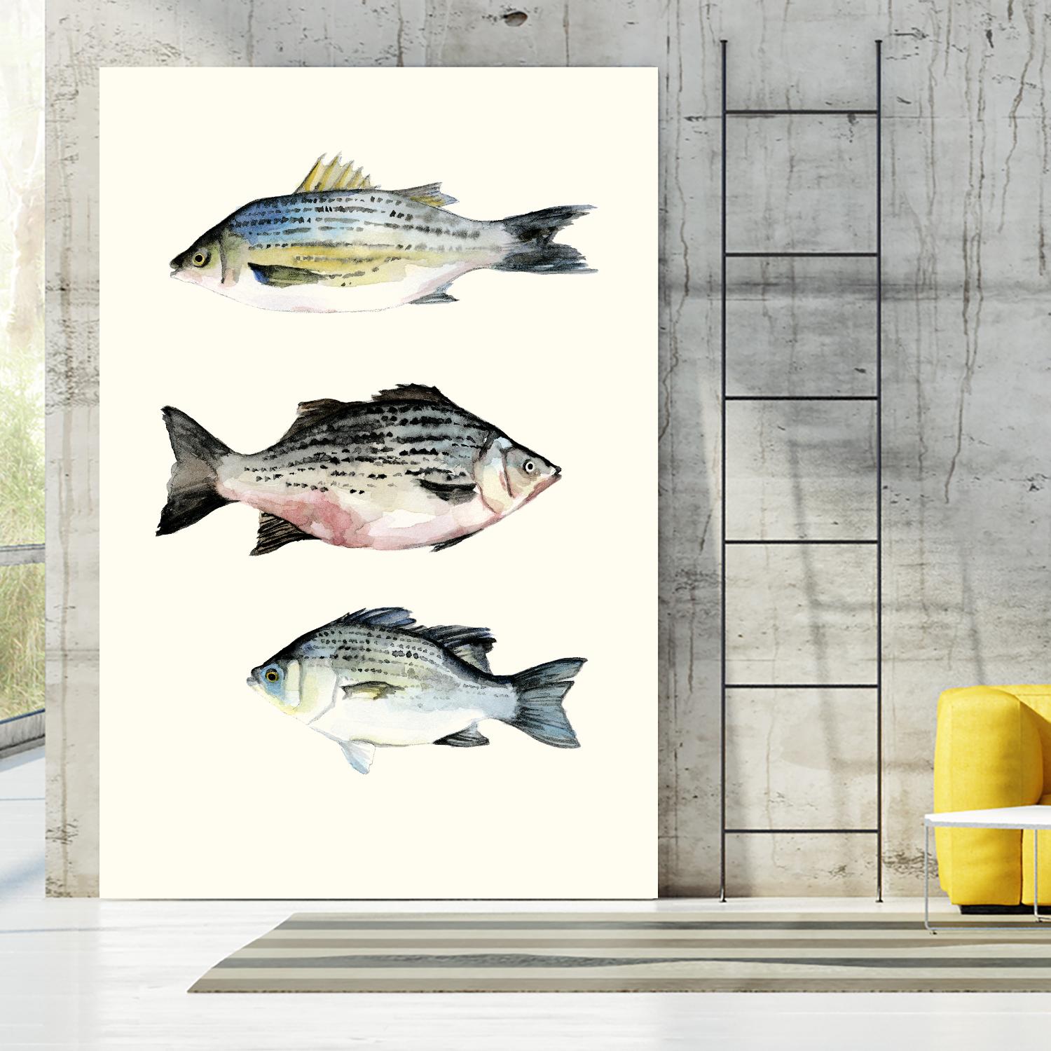 Fish Grouping 2 by Natasha Marie on GIANT ART - grey animals