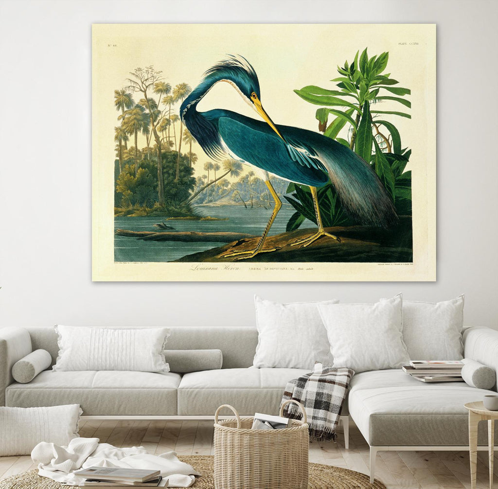 Louisiana Heron Plate 217 by Porter Design on GIANT ART - beige animals