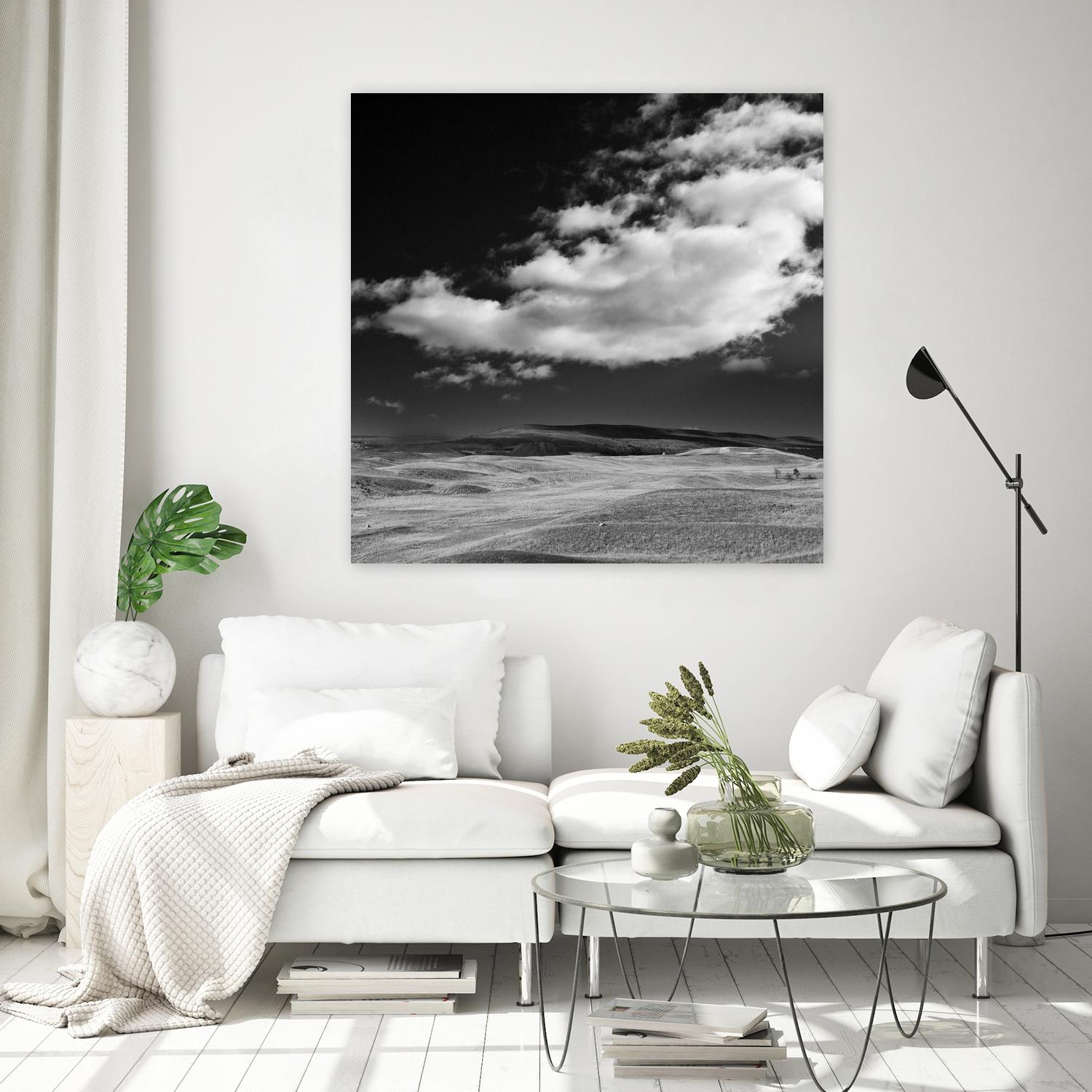 Field with Clouds by Jamie Cook on GIANT ART - white landscape