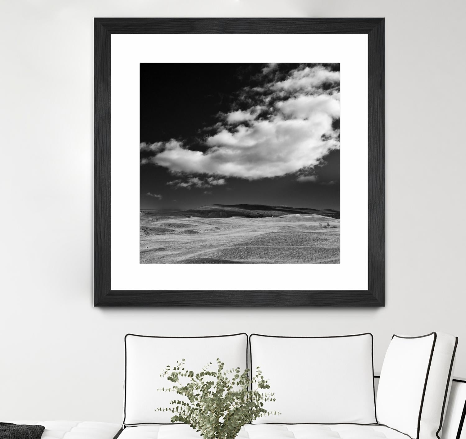 Field with Clouds by Jamie Cook on GIANT ART - white landscape