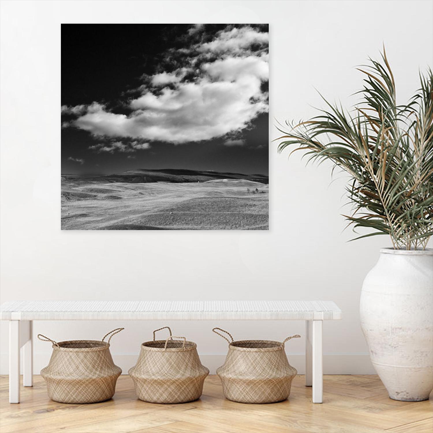 Field with Clouds by Jamie Cook on GIANT ART - white landscape