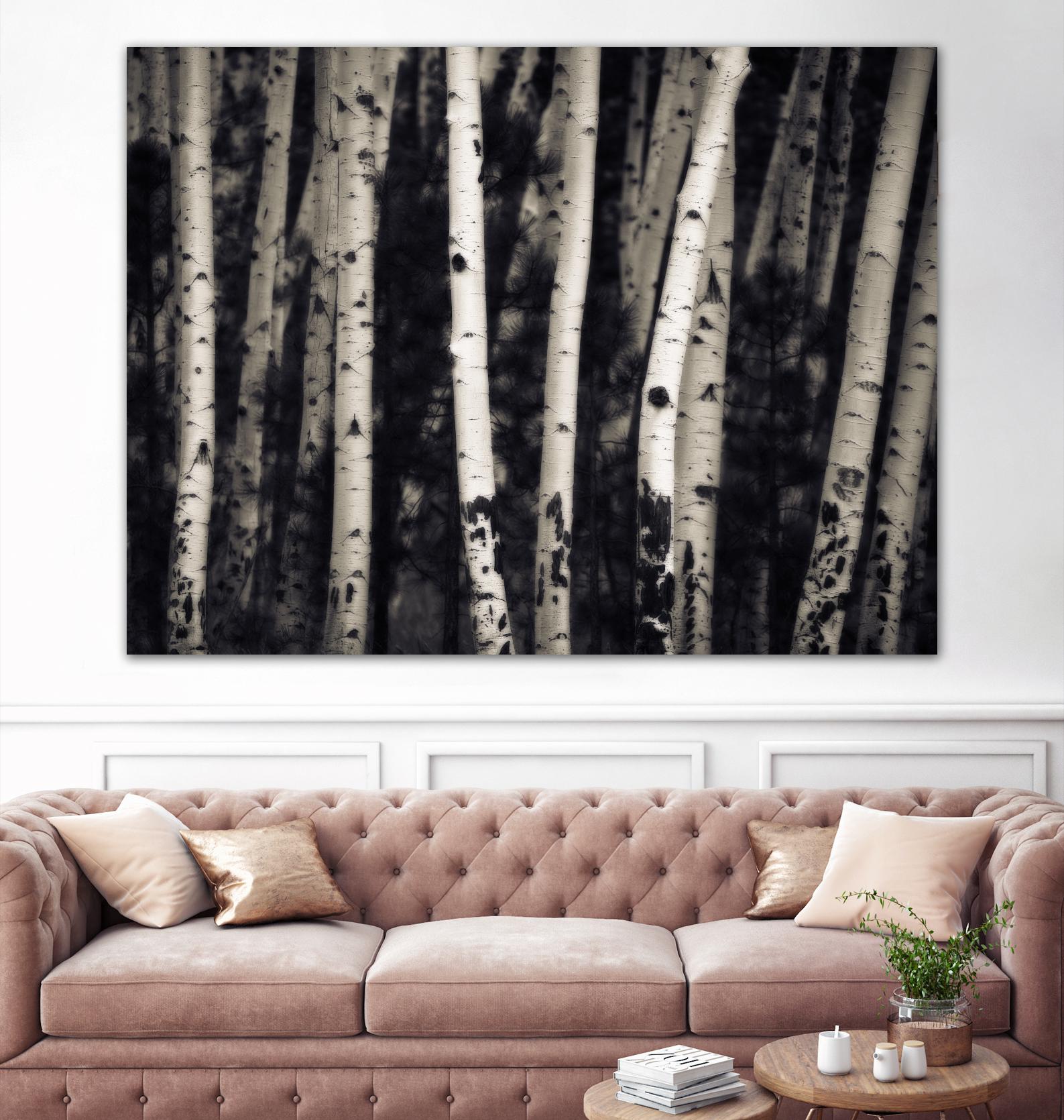 Birch Trees by Jamie Cook on GIANT ART - black landscape