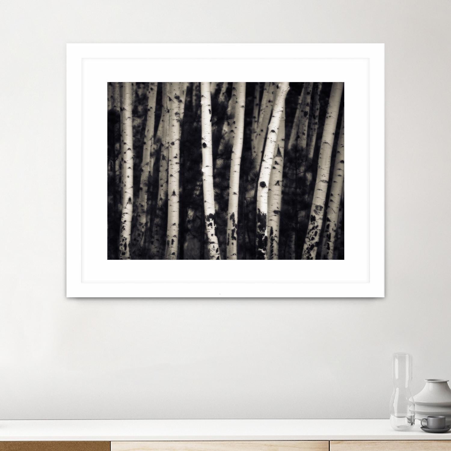 Birch Trees by Jamie Cook on GIANT ART - black landscape
