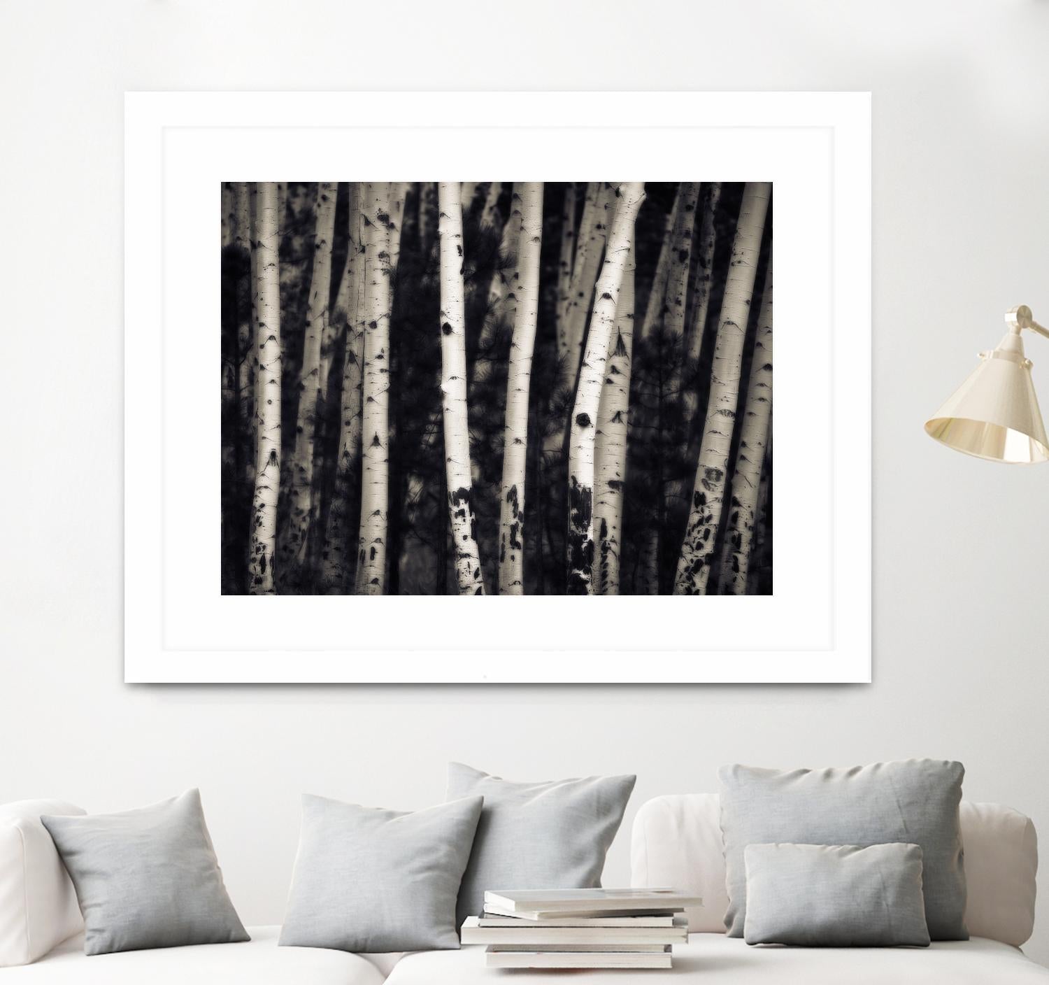Birch Trees by Jamie Cook on GIANT ART - black landscape