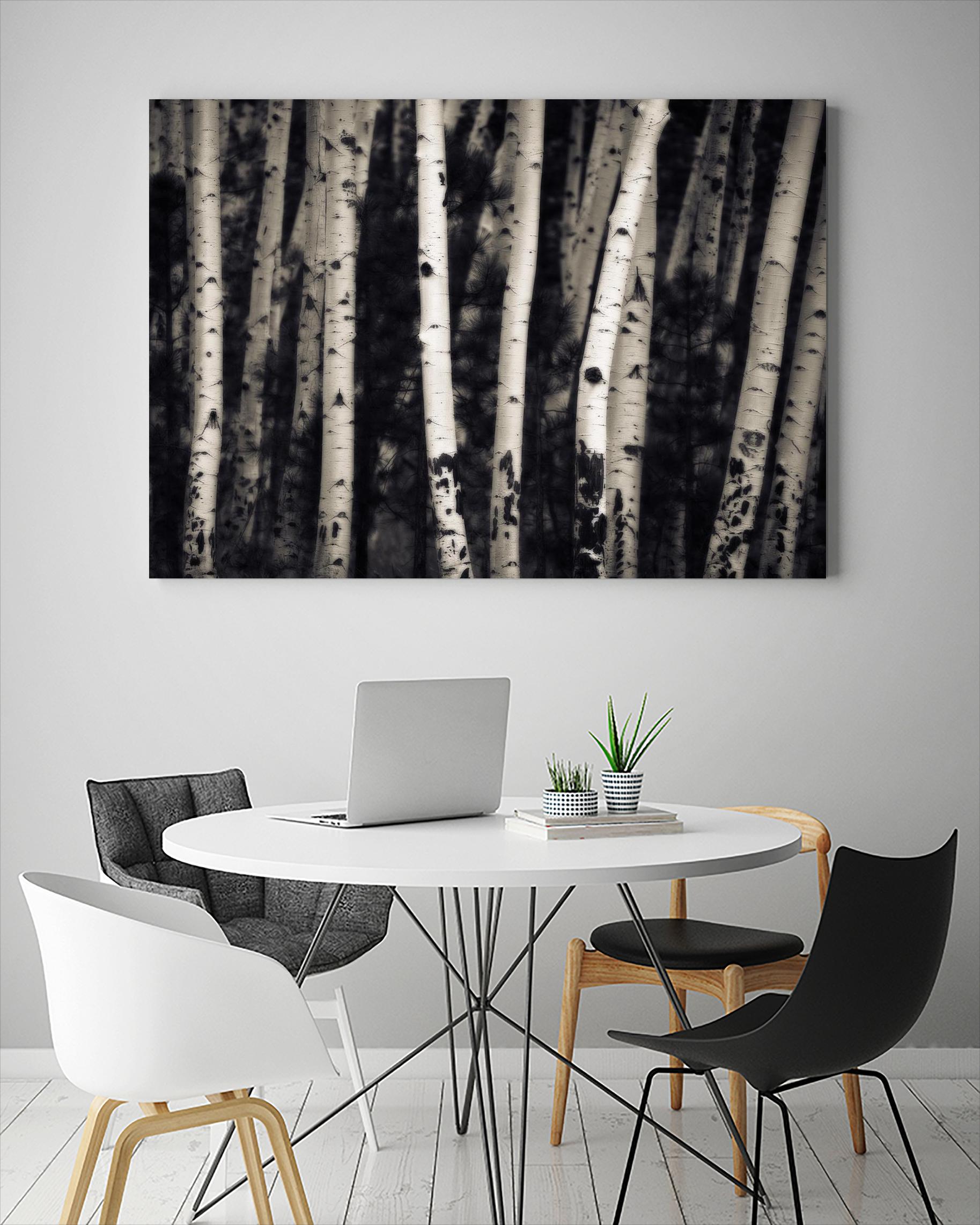 Birch Trees by Jamie Cook on GIANT ART - black landscape