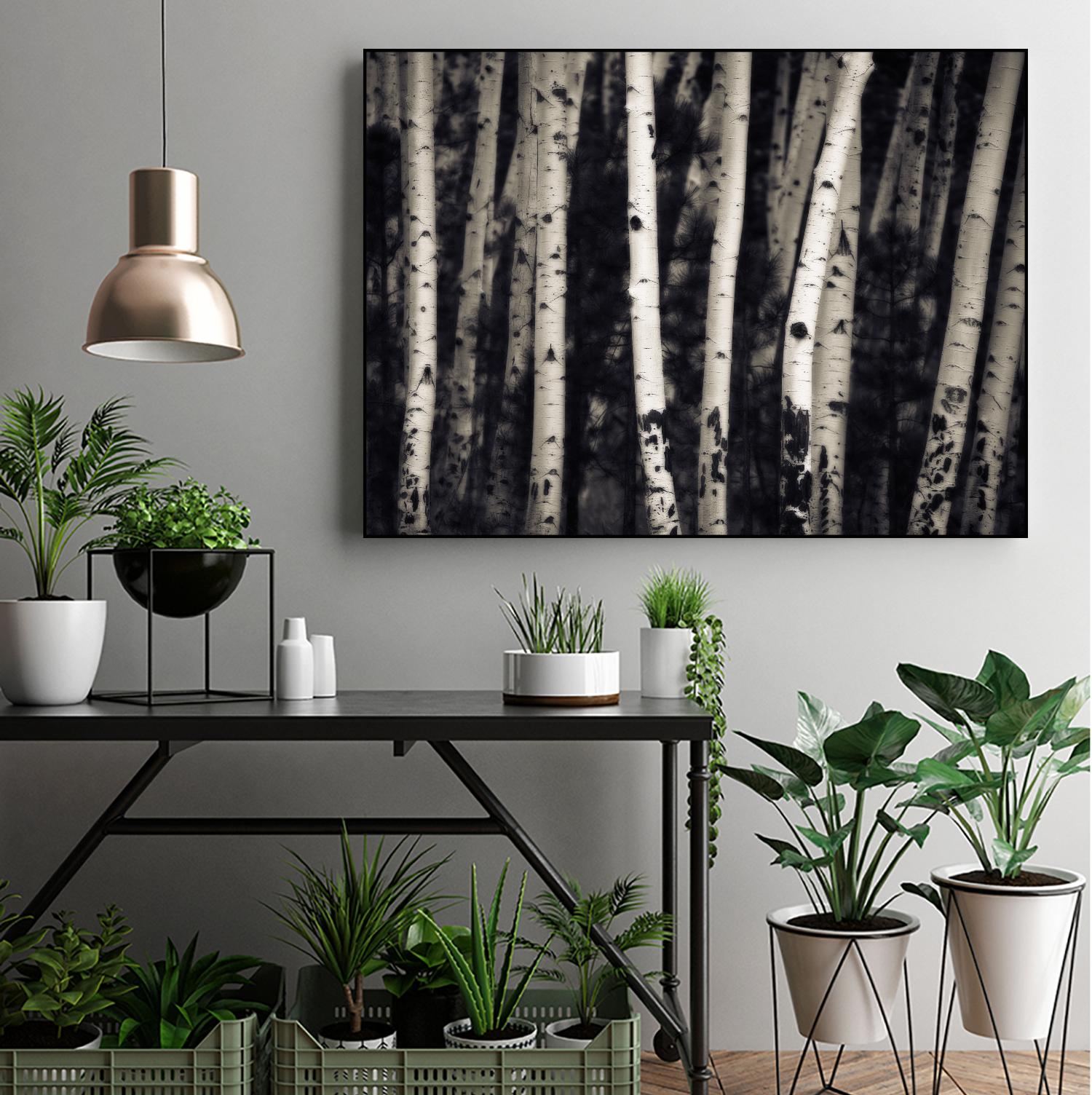 Birch Trees by Jamie Cook on GIANT ART - black landscape