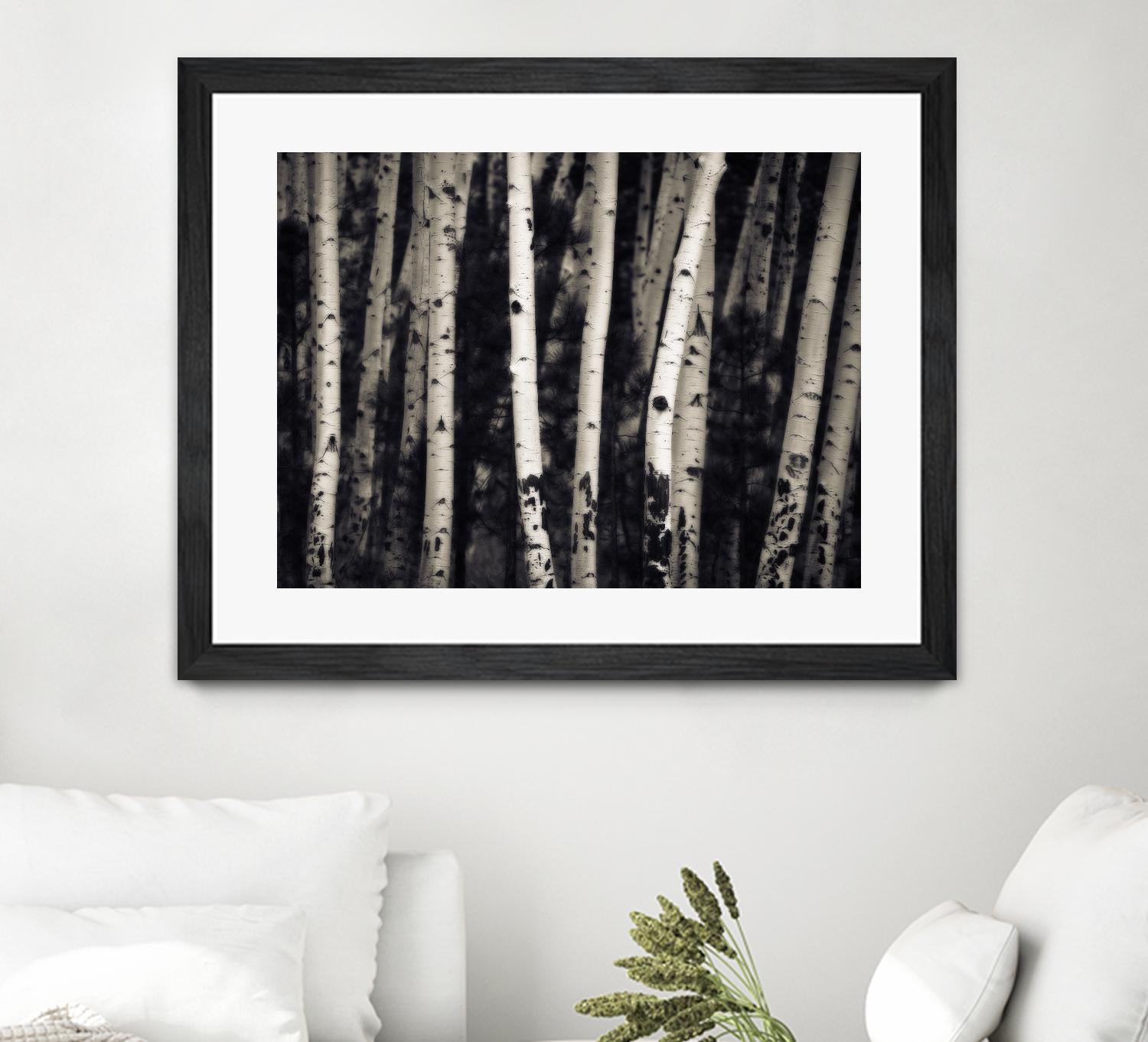 Birch Trees by Jamie Cook on GIANT ART - black landscape