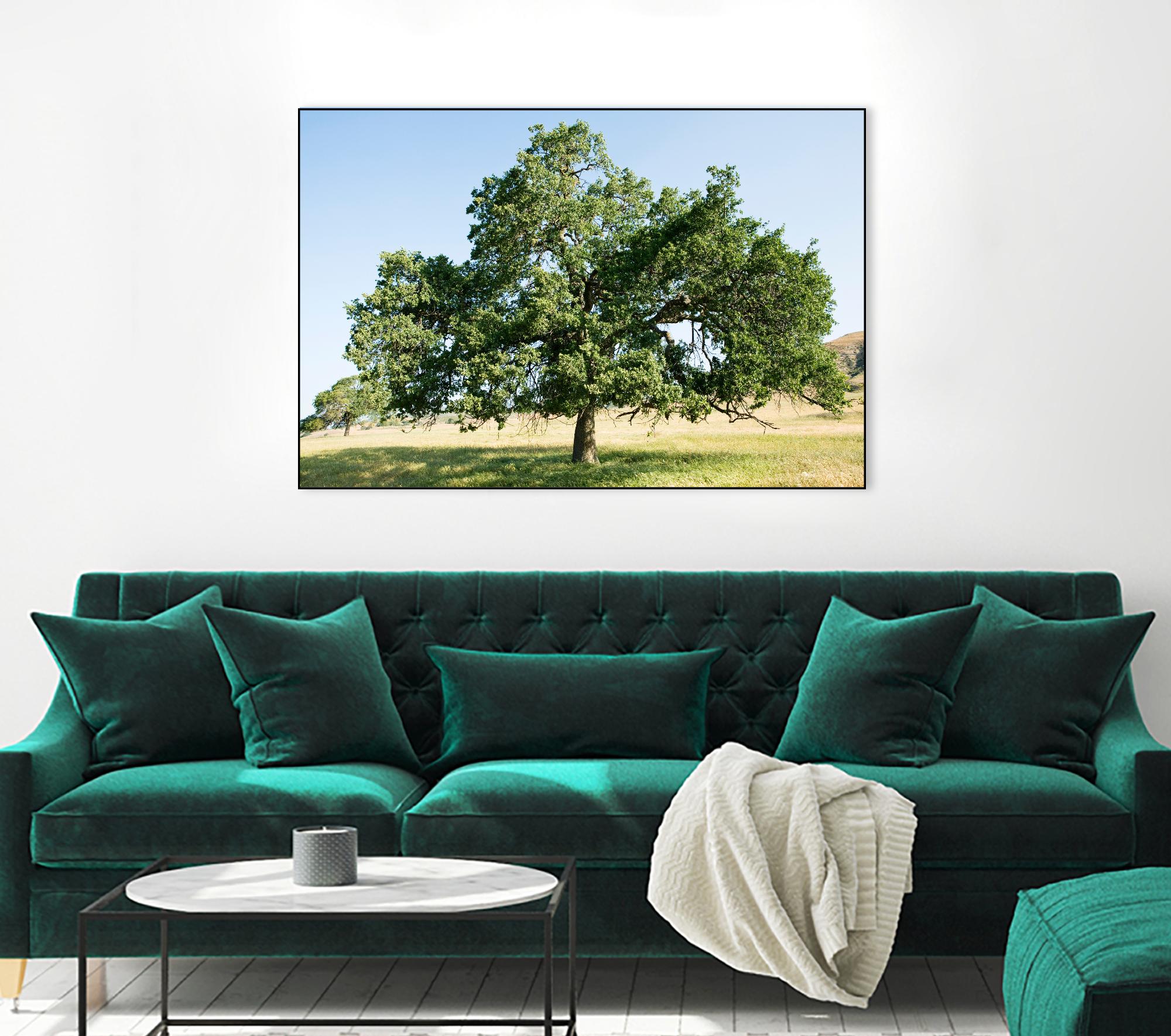 Strength by Acer Images on GIANT ART - blue trees