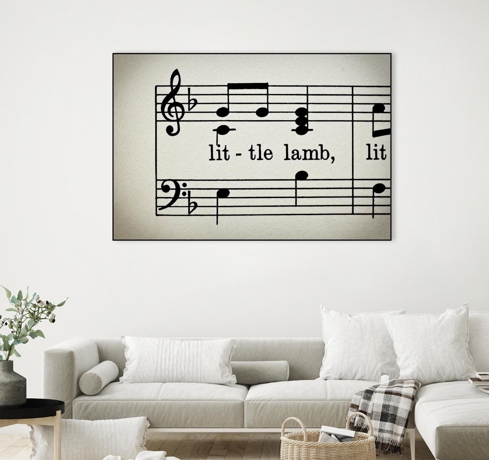 Little Lamb by Amy Smith on GIANT ART - white photo art