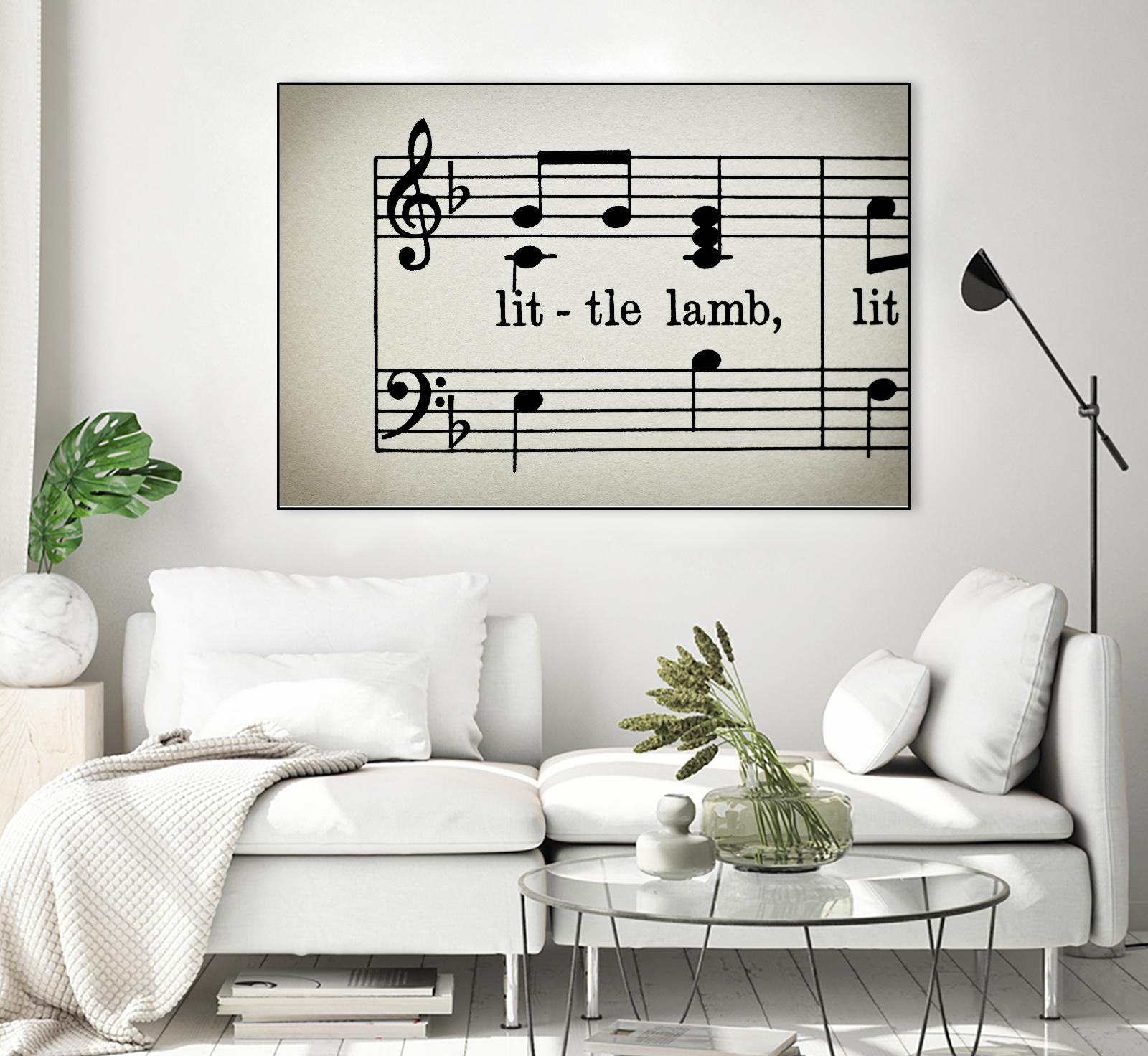 Little Lamb by Amy Smith on GIANT ART - white photo art