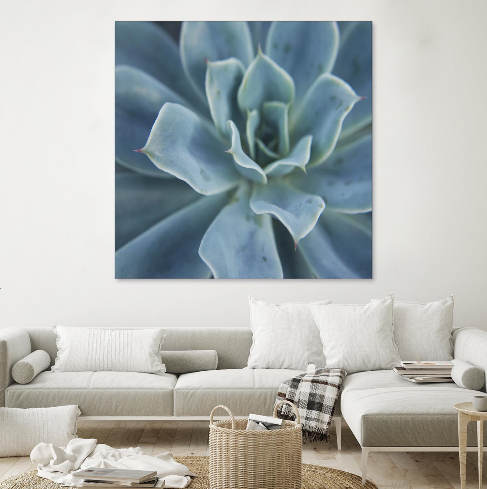 Sweet Succulent by Karen Ussery on GIANT ART - blue botany