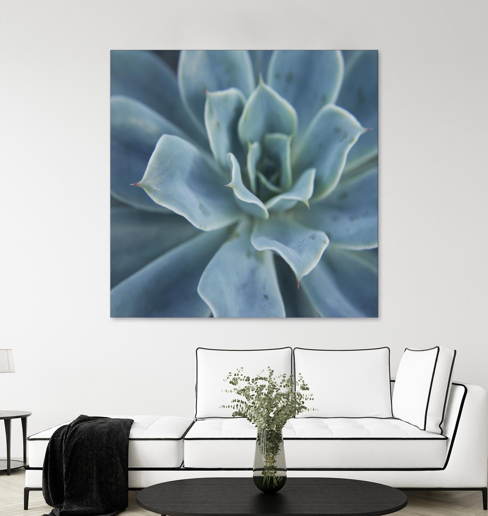 Sweet Succulent by Karen Ussery on GIANT ART - blue botany
