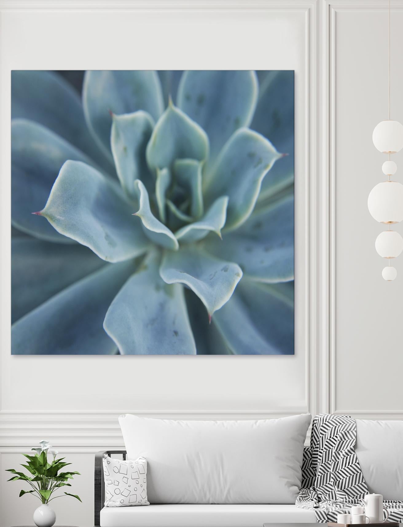 Sweet Succulent by Karen Ussery on GIANT ART - blue botany