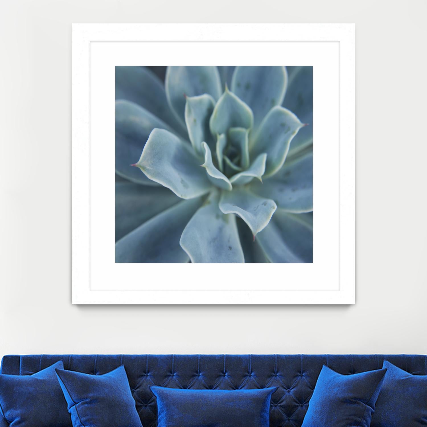 Sweet Succulent by Karen Ussery on GIANT ART - blue botany