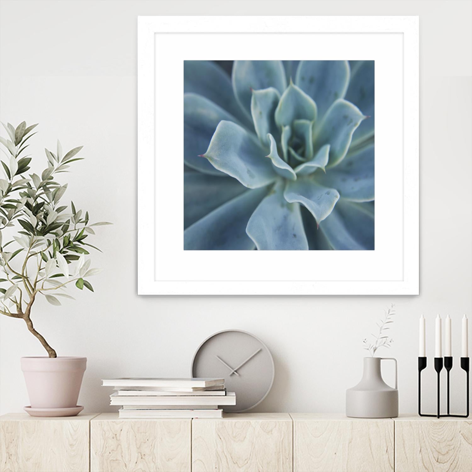 Sweet Succulent by Karen Ussery on GIANT ART - blue botany
