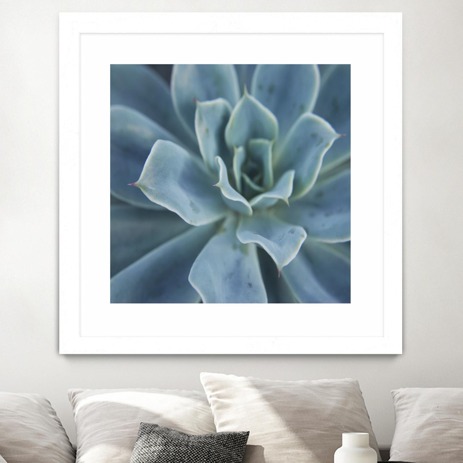 Sweet Succulent by Karen Ussery on GIANT ART - blue botany