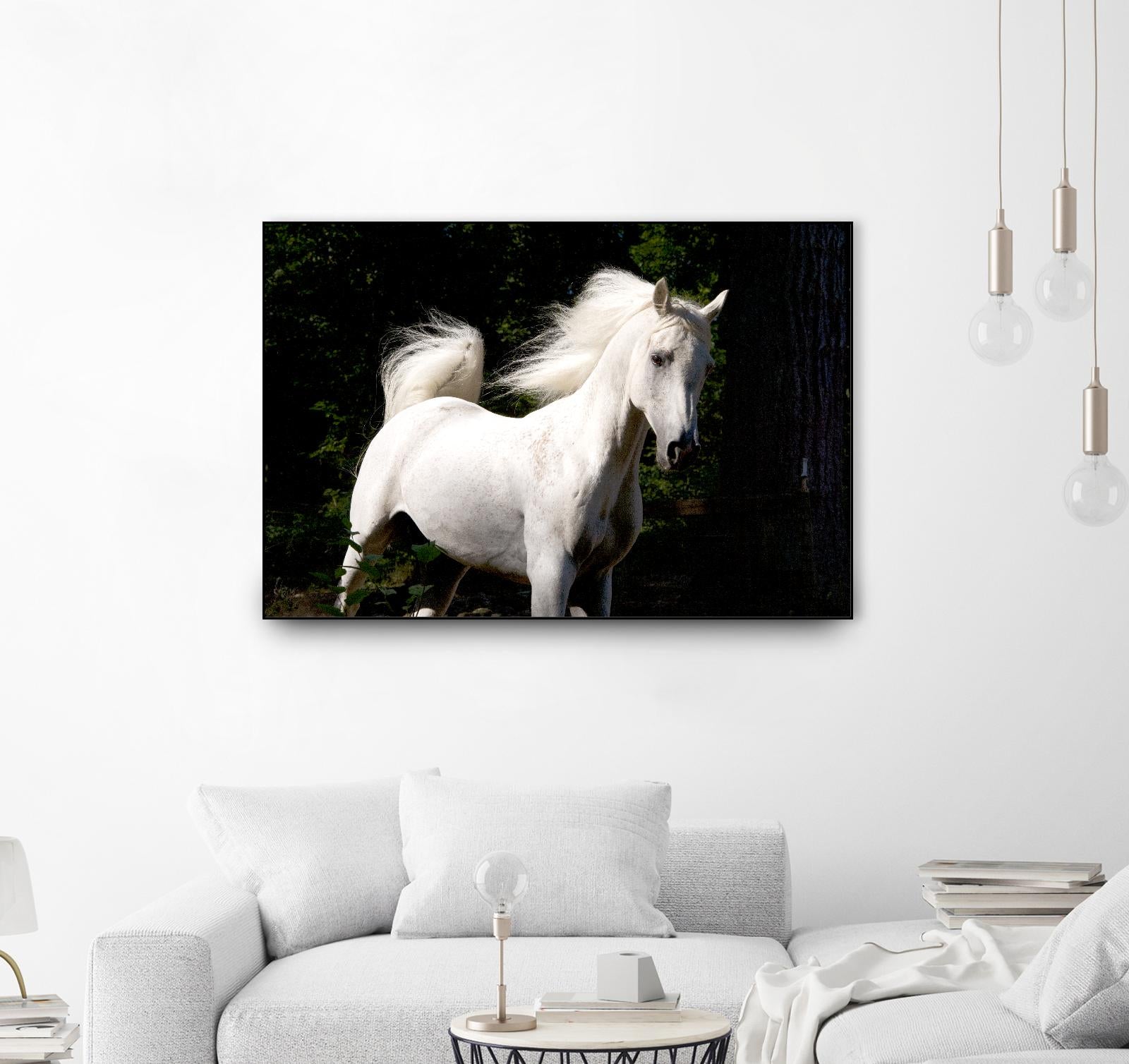 Candle 4 by Patrick Marshall on GIANT ART - black animals