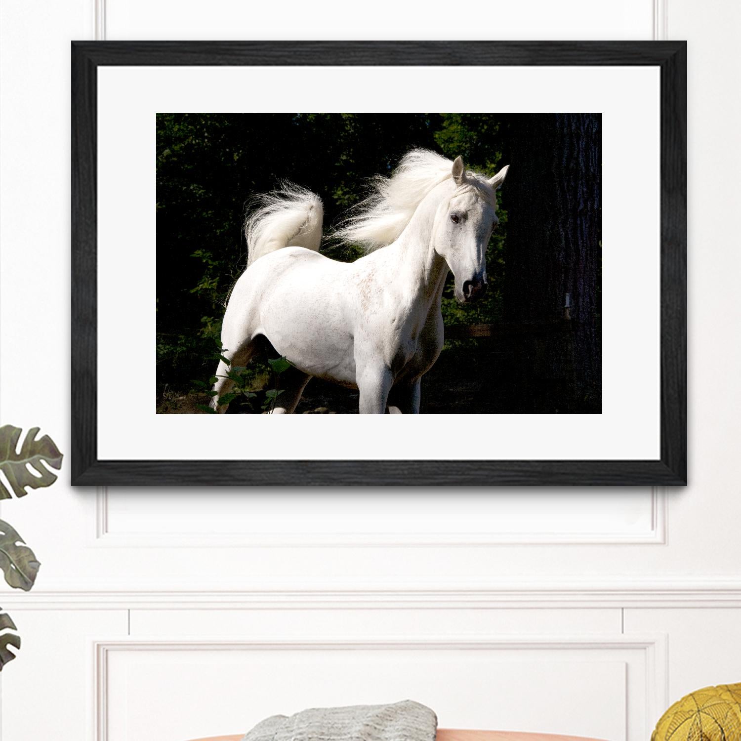 Candle 4 by Patrick Marshall on GIANT ART - black animals