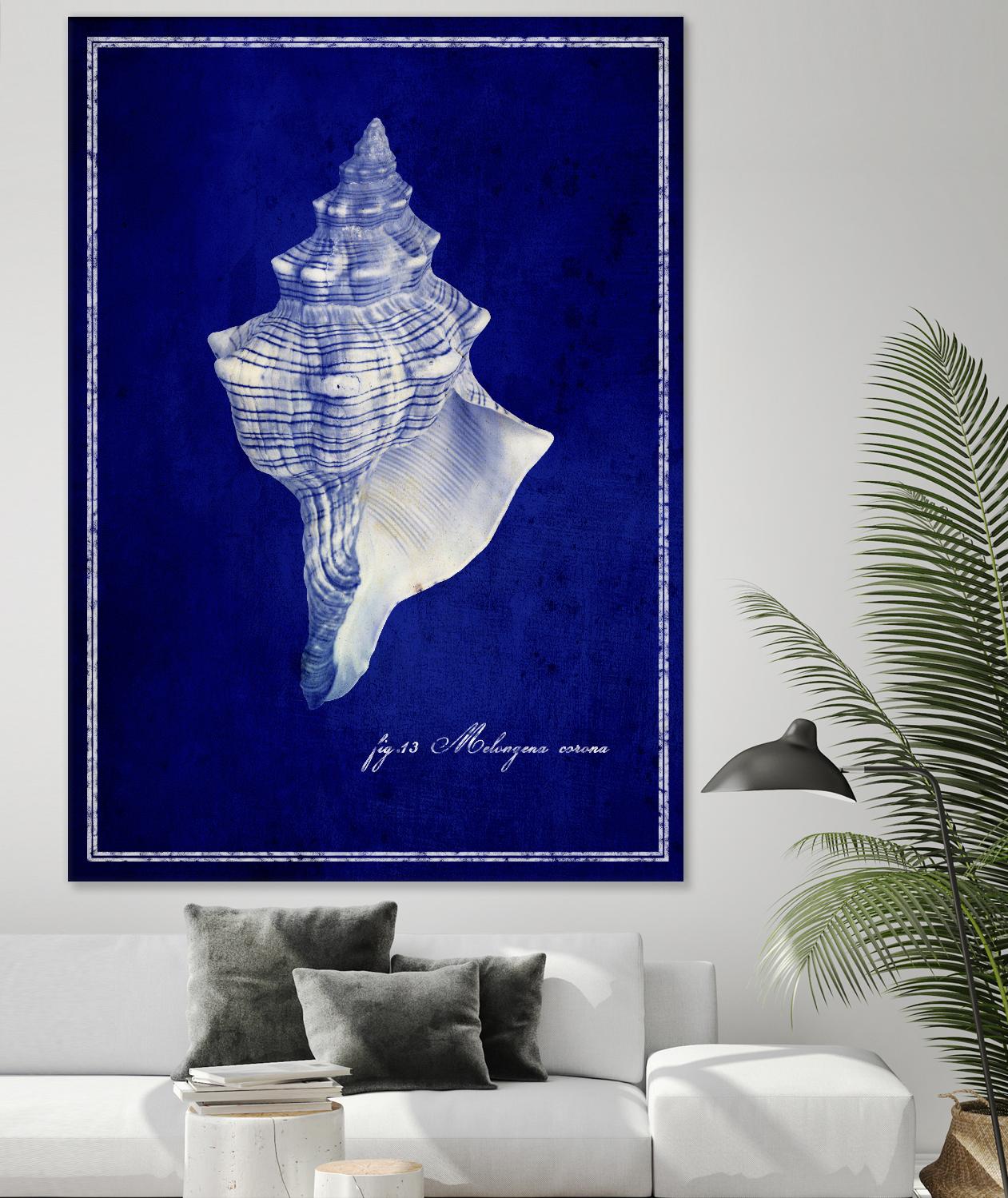 Conch Shell by GI ArtLab on GIANT ART - blue nautical