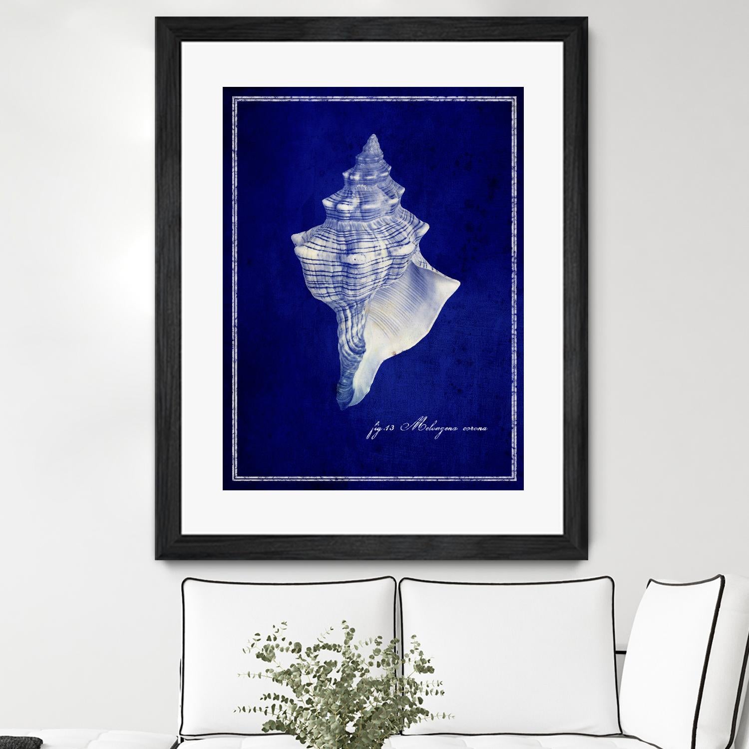 Conch Shell by GI ArtLab on GIANT ART - blue nautical