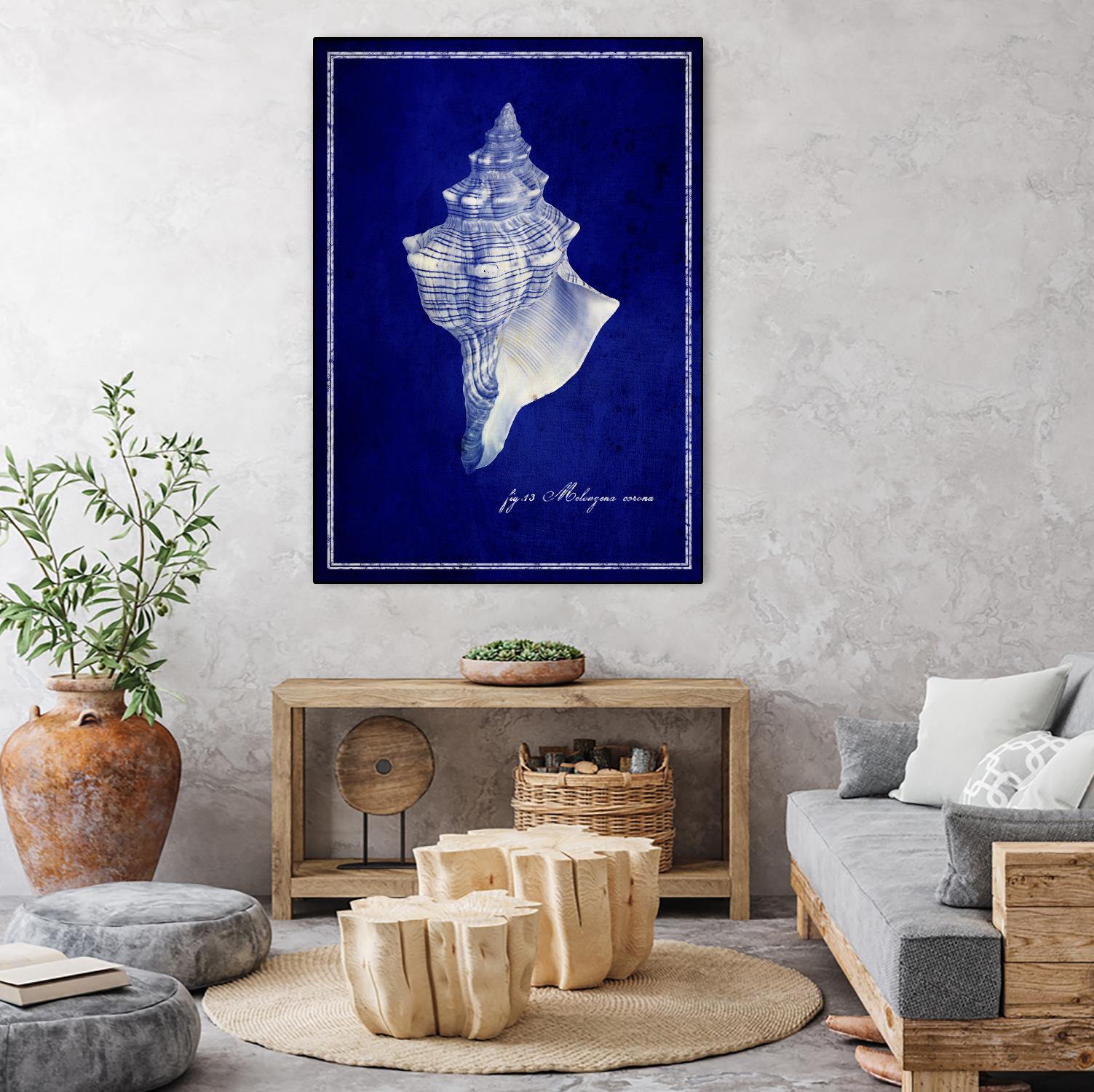 Conch Shell by GI ArtLab on GIANT ART - blue nautical